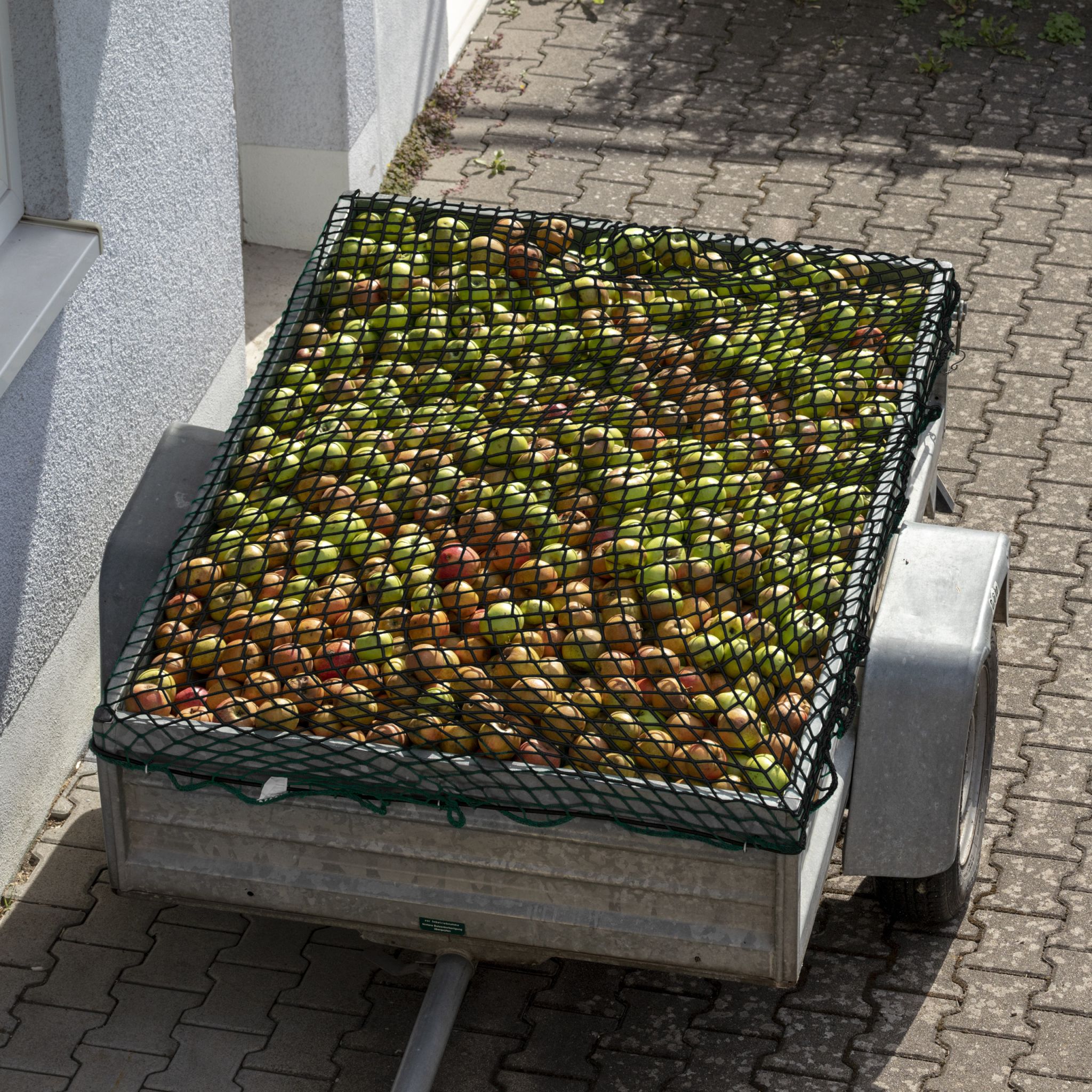 Anhängernetz 2x3m dehnbar Schwarz von Relaxdays