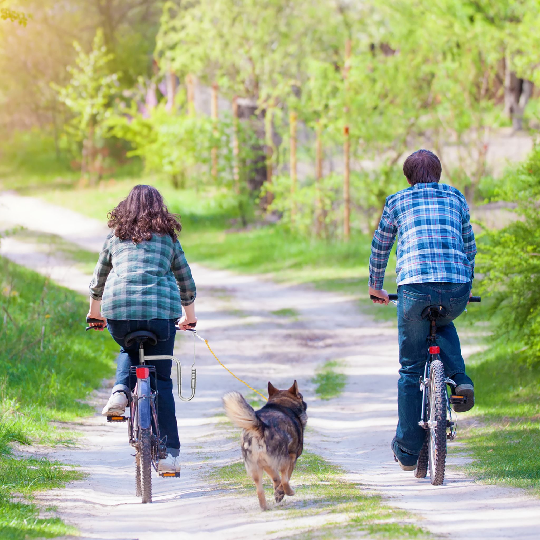 Fahrradleine mit Abstandhalter für Hunde Silber von Relaxdays