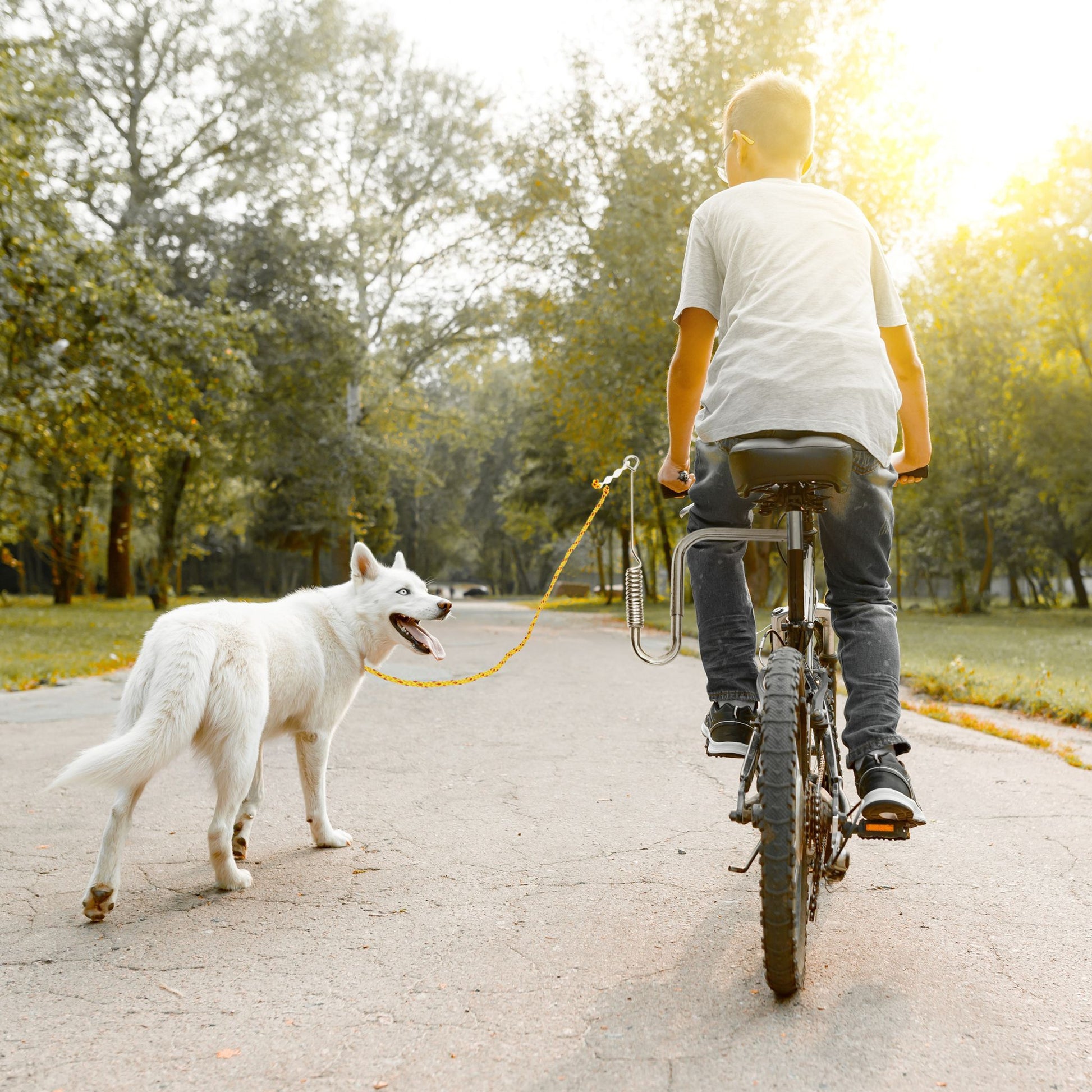 Fahrradleine mit Abstandhalter für Hunde Silber von Relaxdays