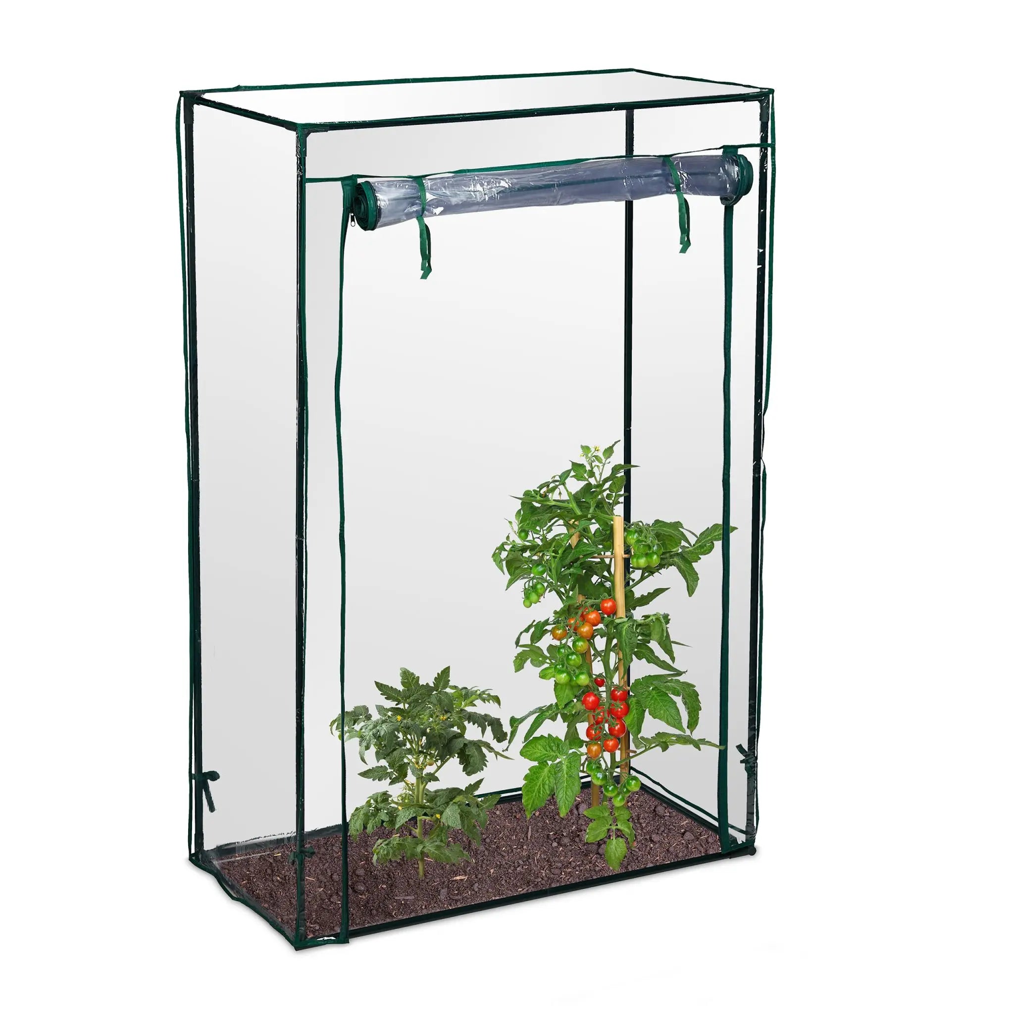 Tomatengewächshaus für Garten und Balkon Dunkelgrün-Transparent von Relaxdays
