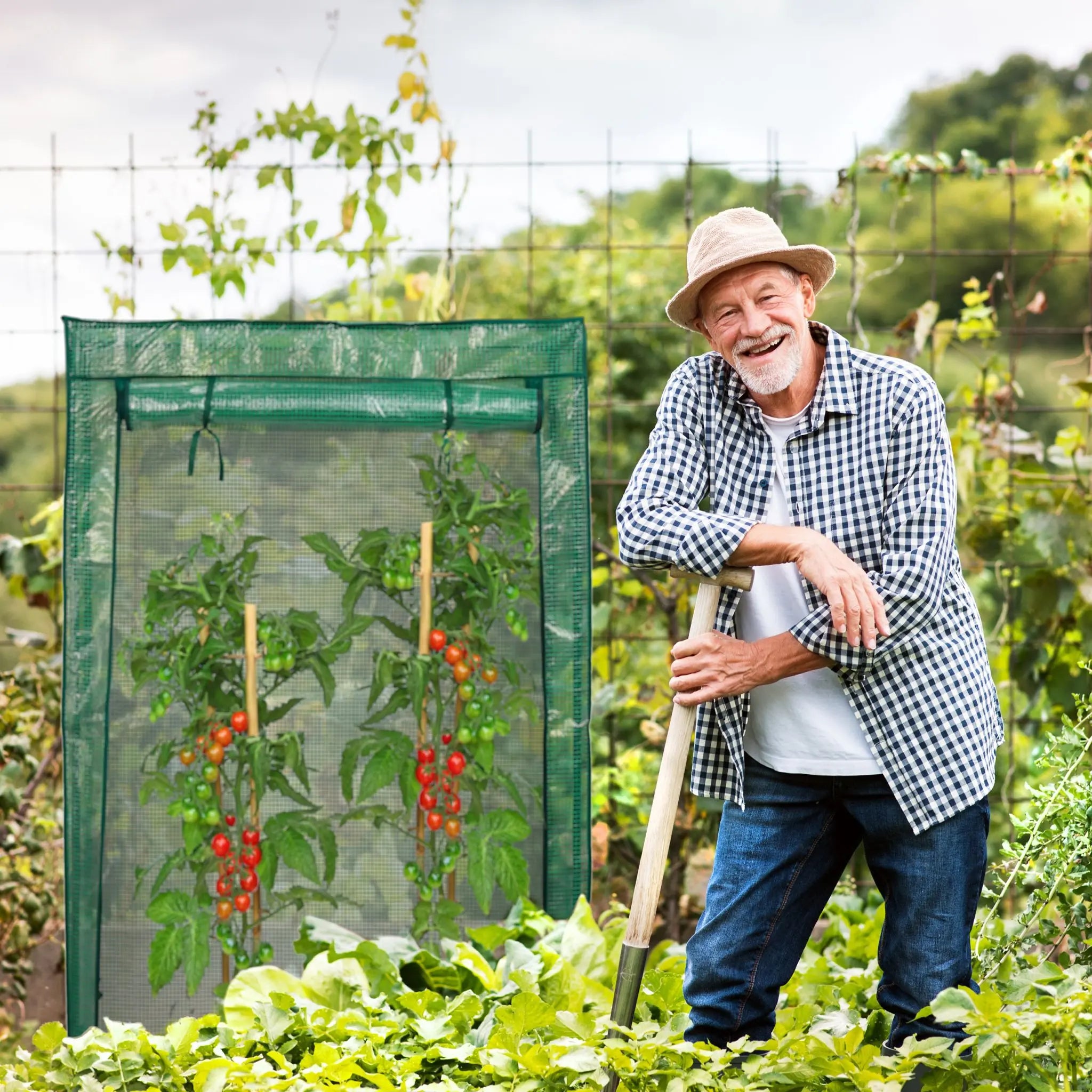 Tomatengewächshaus für Garten und Balkon Dunkelgrün-Grün von Relaxdays