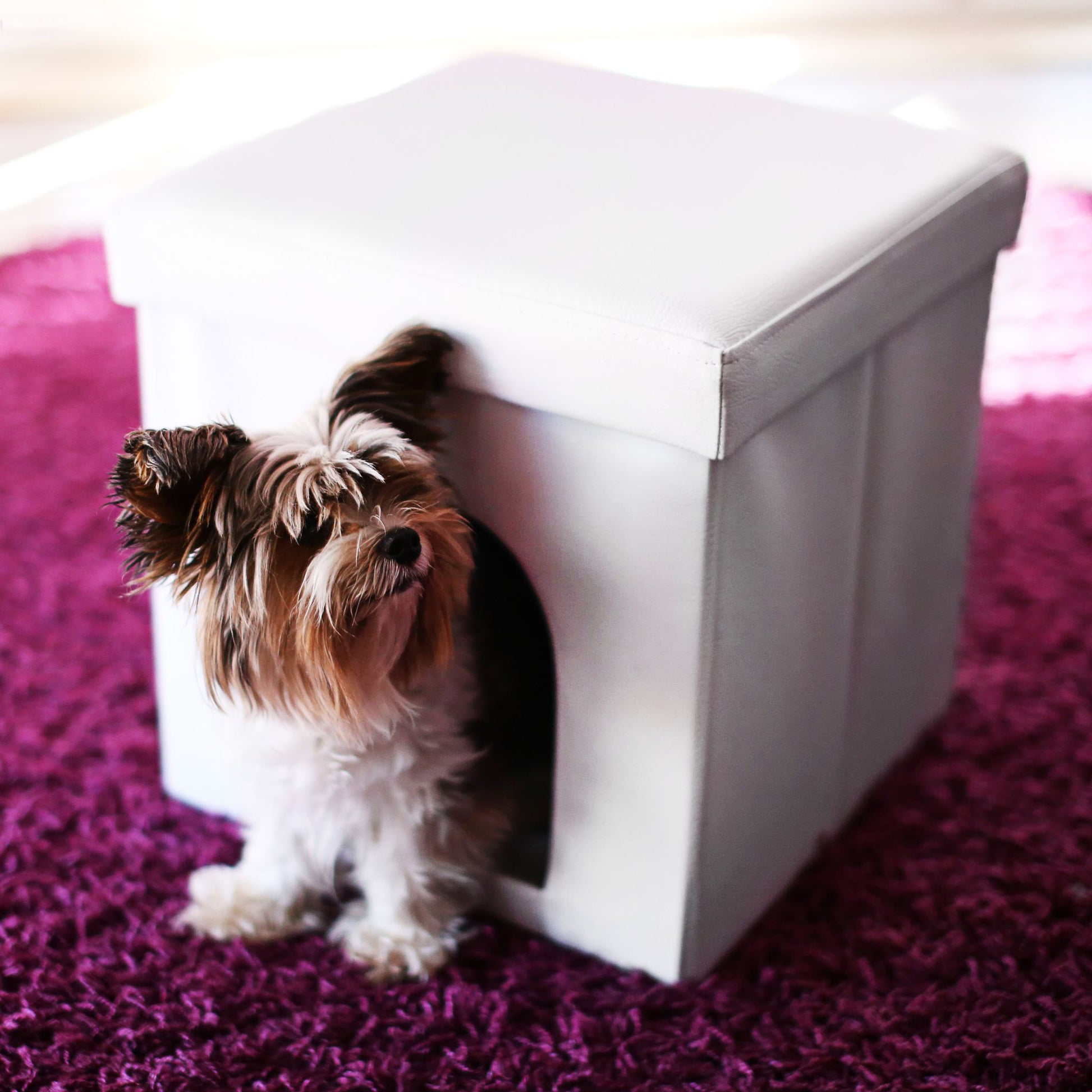 Hundebox Sitzhocker Weiss von Relaxdays