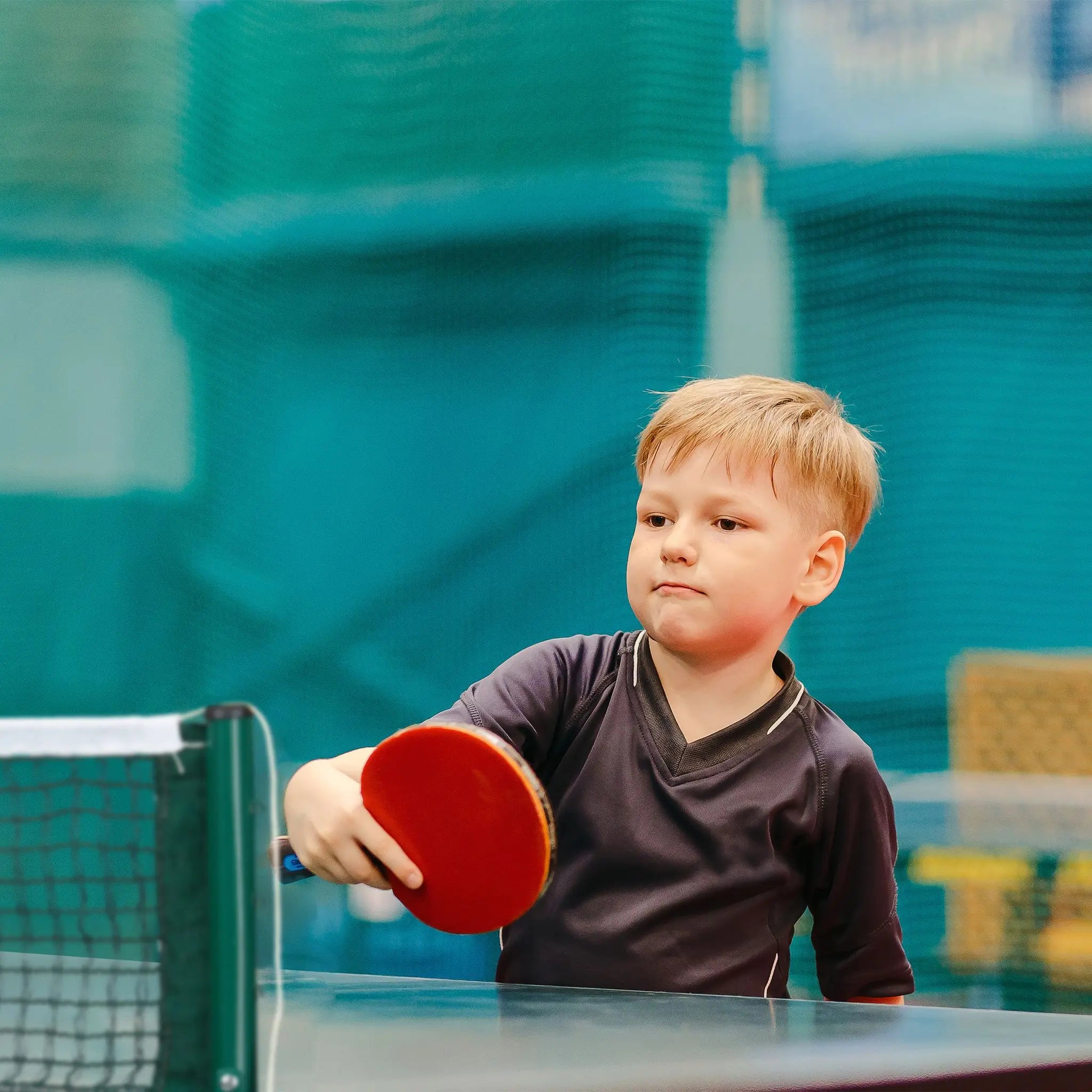 Tischtennisnetz zum Klemmen Weiss-Dunkelgrün-Grün von Relaxdays