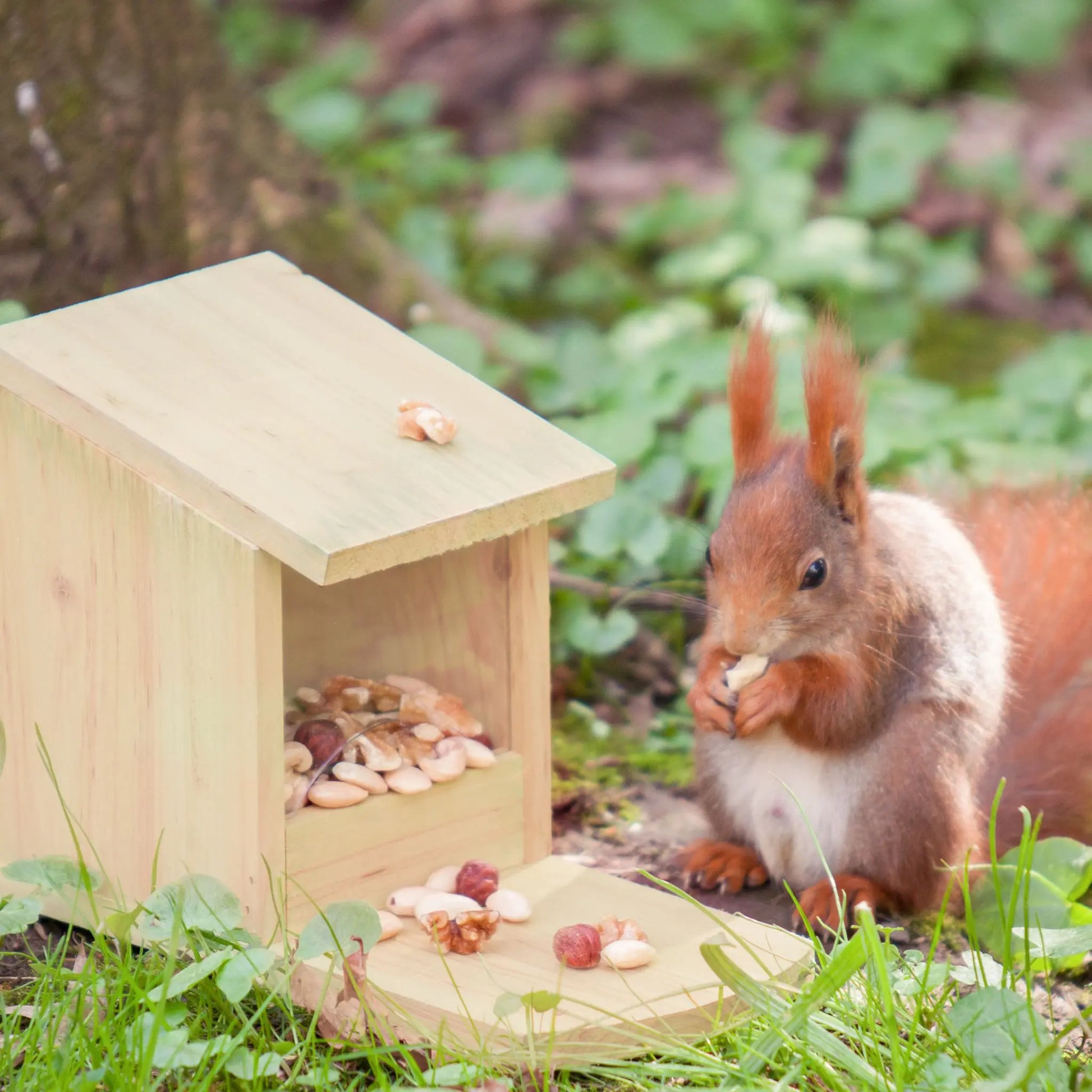 Eichhörnchen Futterhaus zum Stellen Hellbraun von Relaxdays