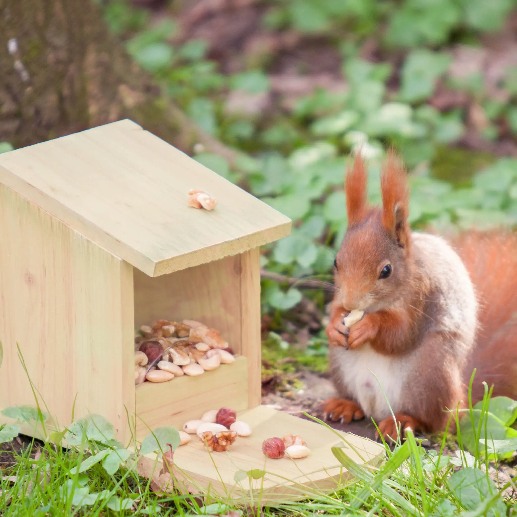 Eichhörnchen Futterhaus zum Stellen Hellbraun von Relaxdays