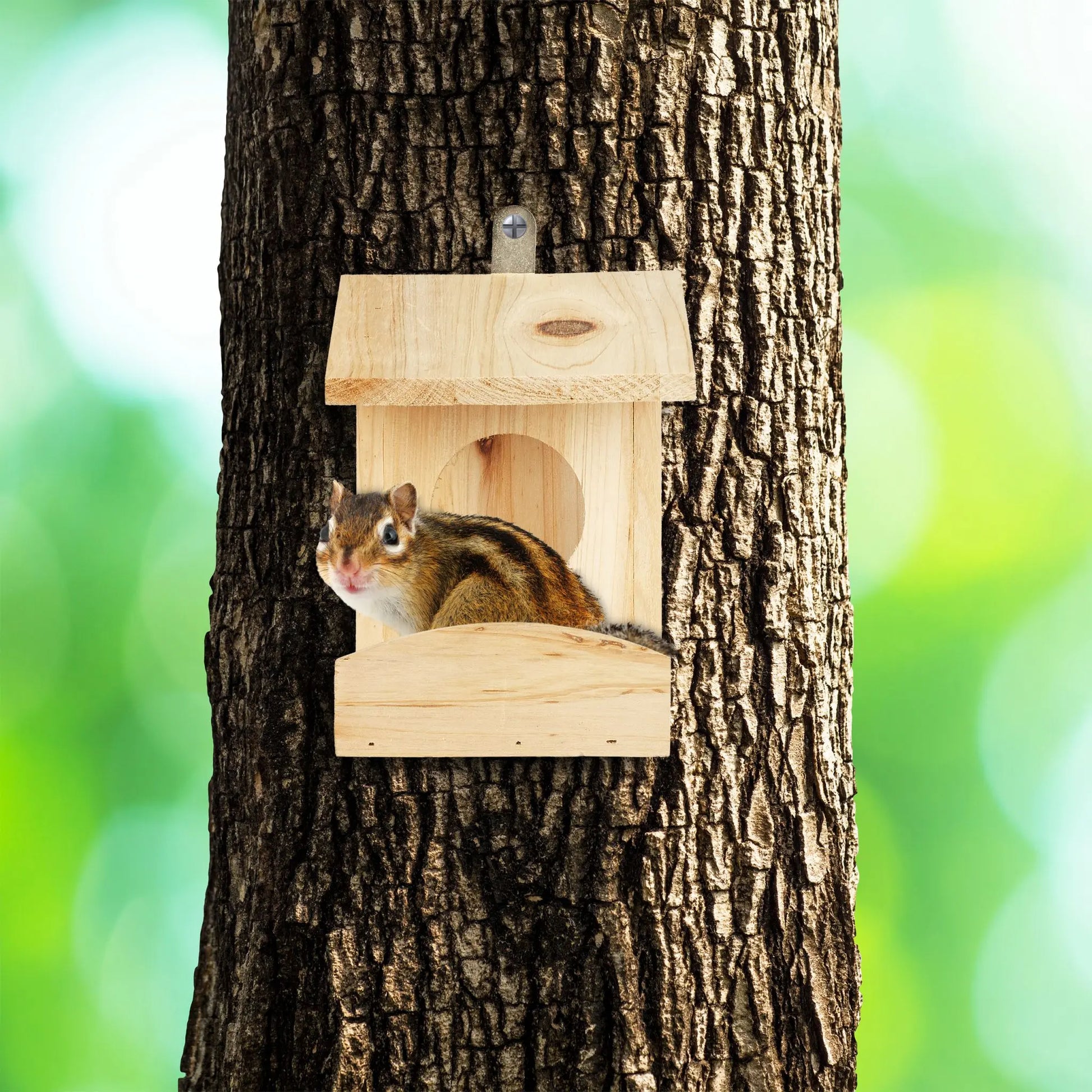 Eichhörnchen Futterhaus zum Hängen Hellbraun-Silber von Relaxdays