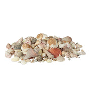 Muschel Deko mit Meeresschnecken 2kg Creme-Hellbraun-Rosa von Relaxdays