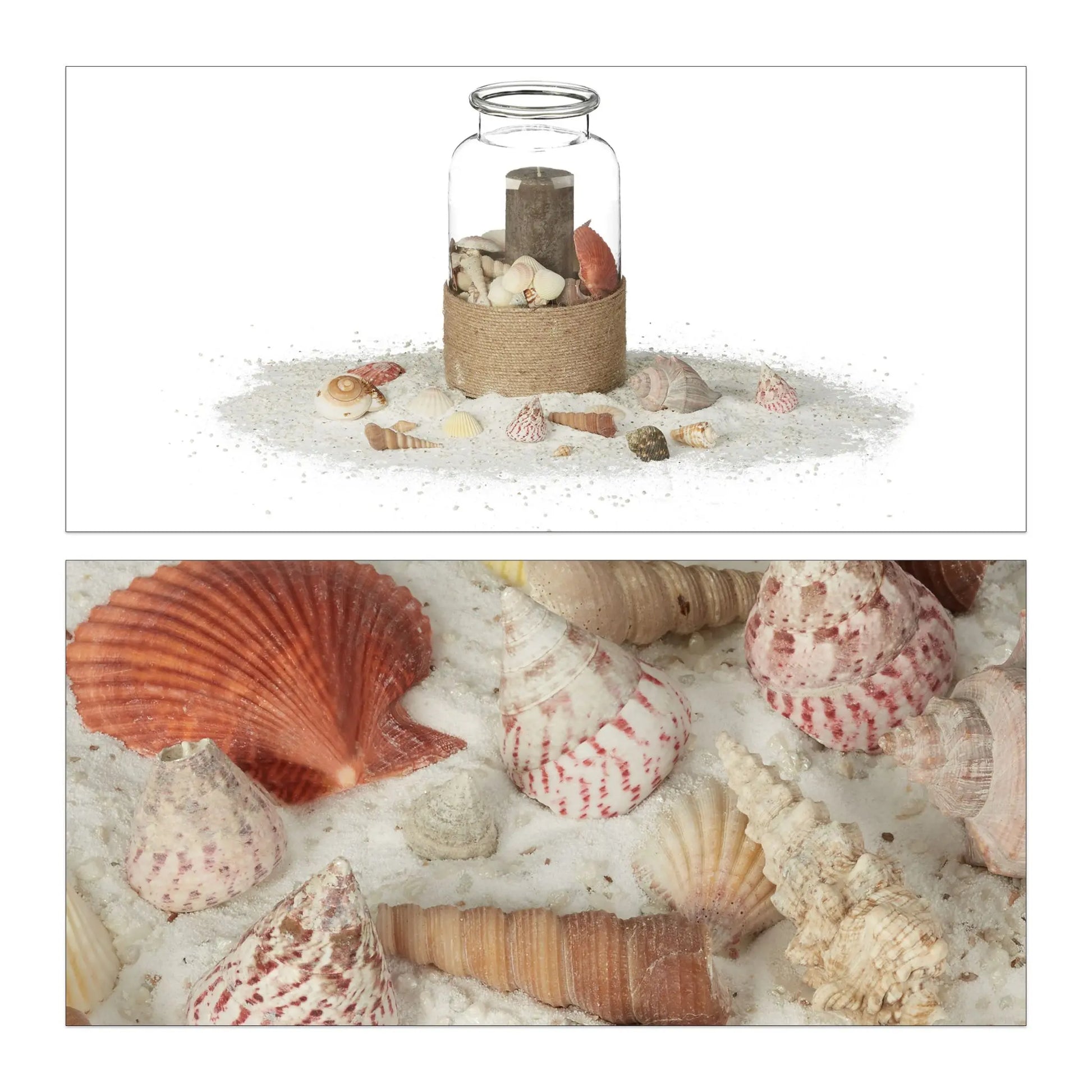 Muschel Deko mit Meeresschnecken 2kg Creme-Hellbraun-Rosa von Relaxdays