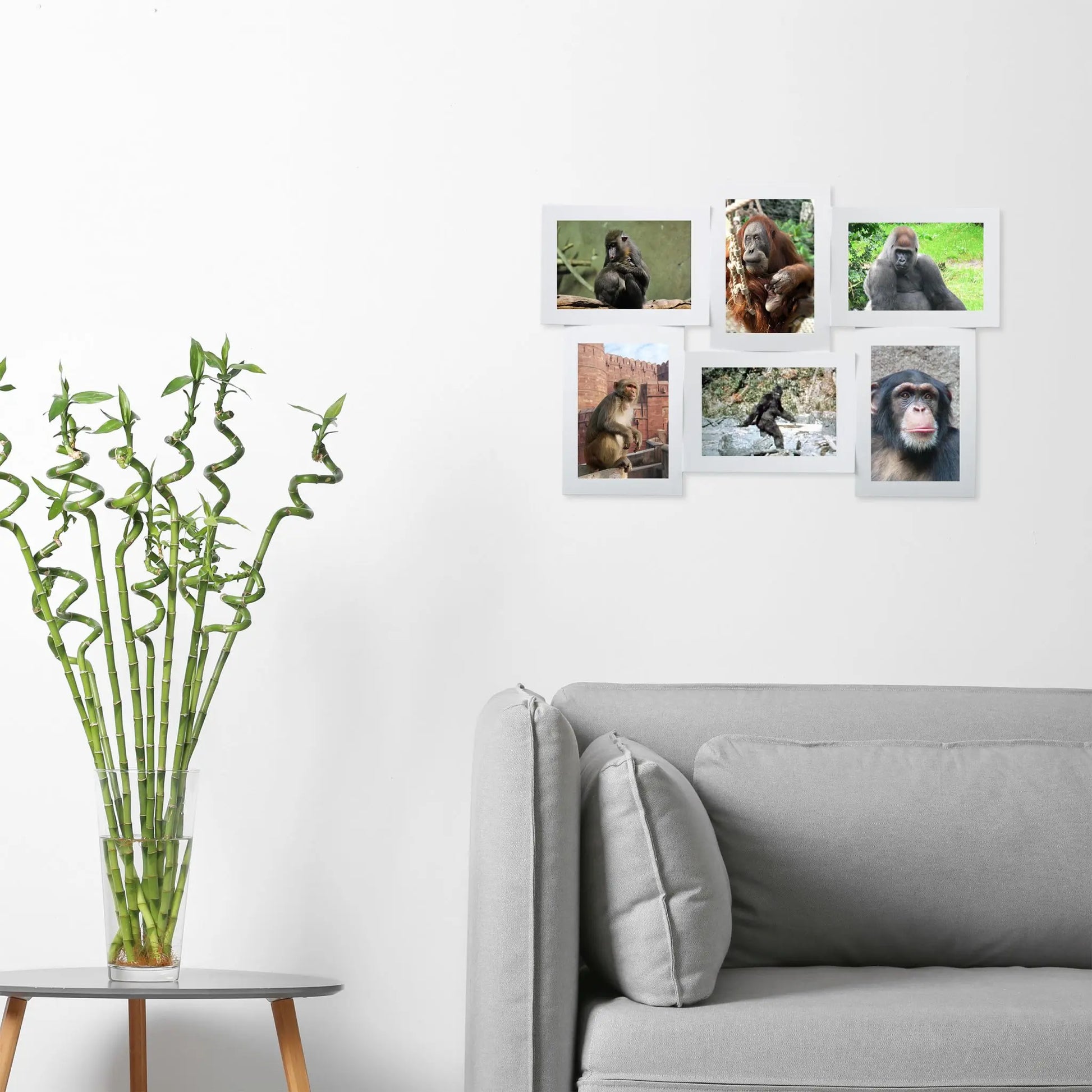 Bilderrahmen für mehrere Fotos Weiss von Relaxdays