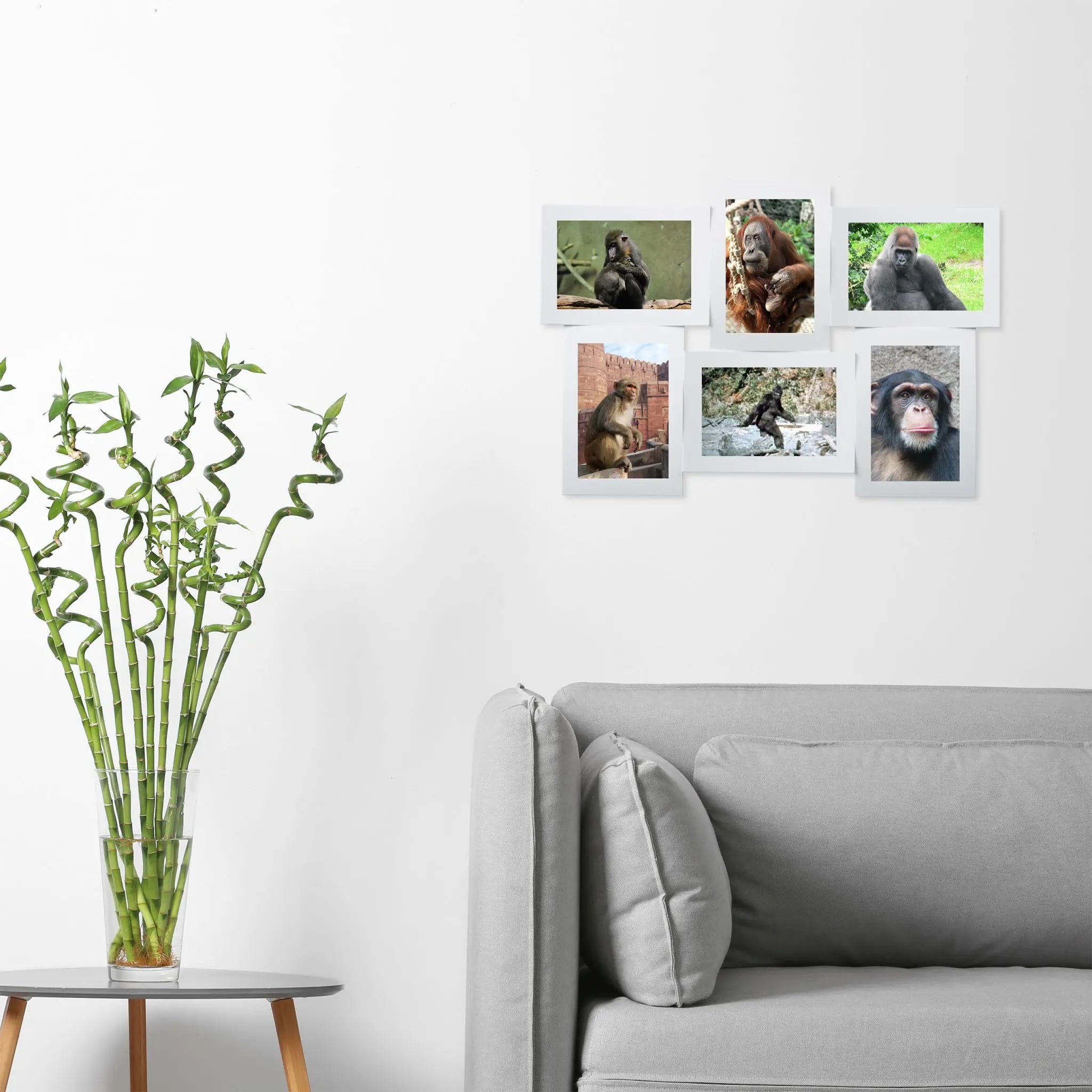 Bilderrahmen für mehrere Fotos Weiss von Relaxdays