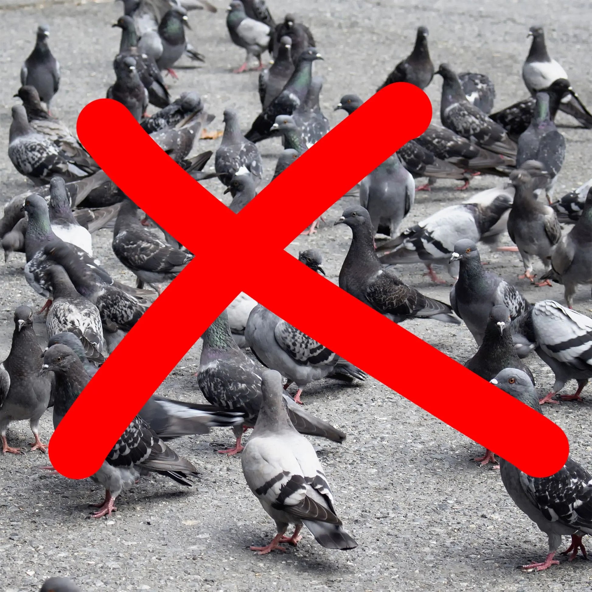 Taubenschreck Krähe fliegend Schwarz von Relaxdays