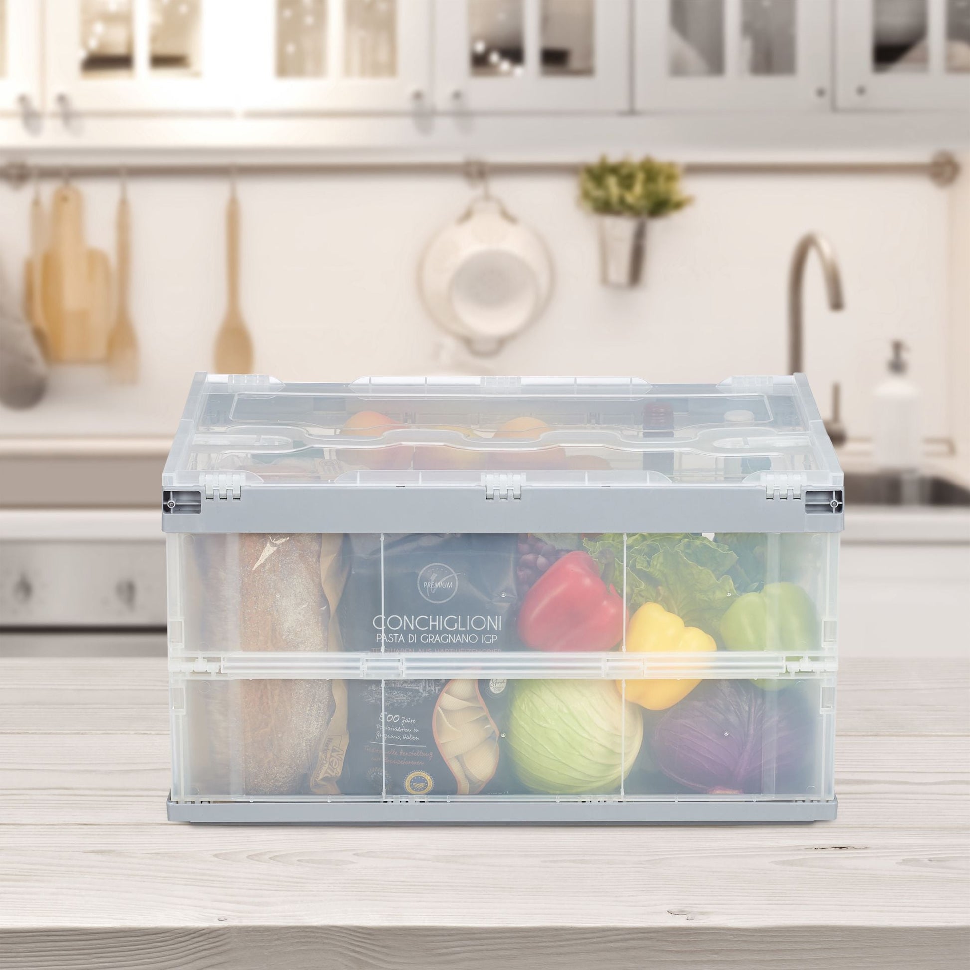 Transportbox mit Deckel Grün-Transparent von Relaxdays