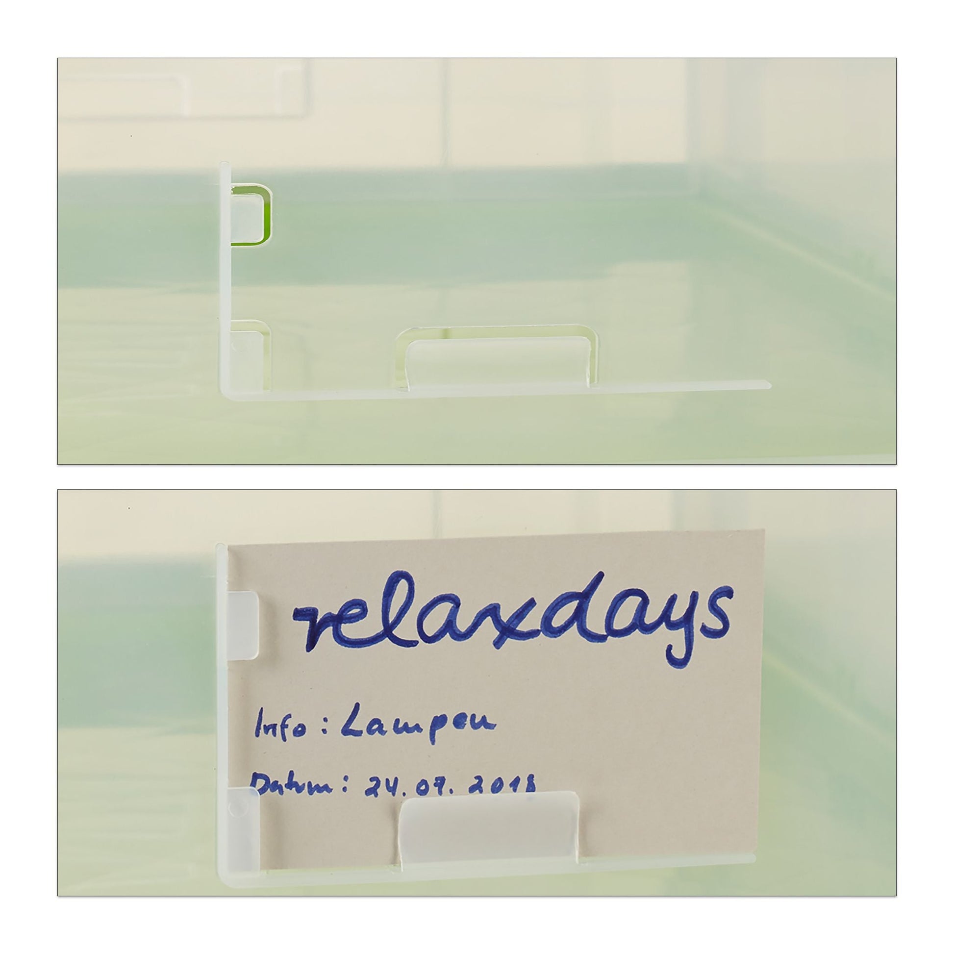 Transportbox mit Deckel Grün-Transparent von Relaxdays