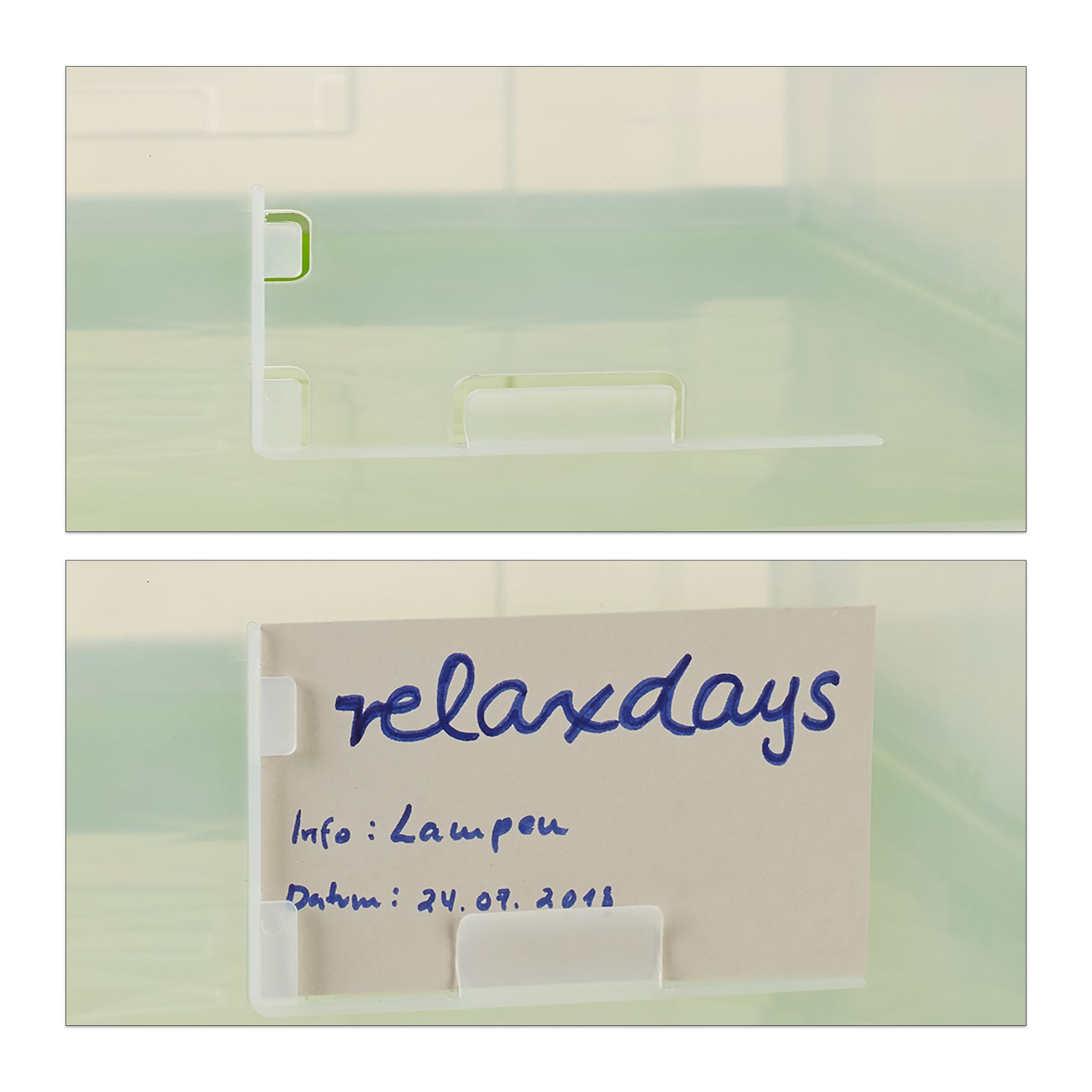 Transportbox mit Deckel Grün-Transparent von Relaxdays