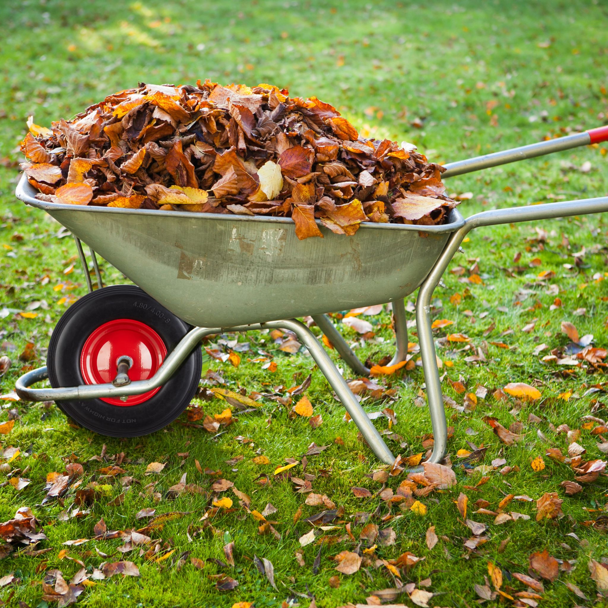 Schubkarrenrad Vollgummi mit Achse Rot-Schwarz von Relaxdays