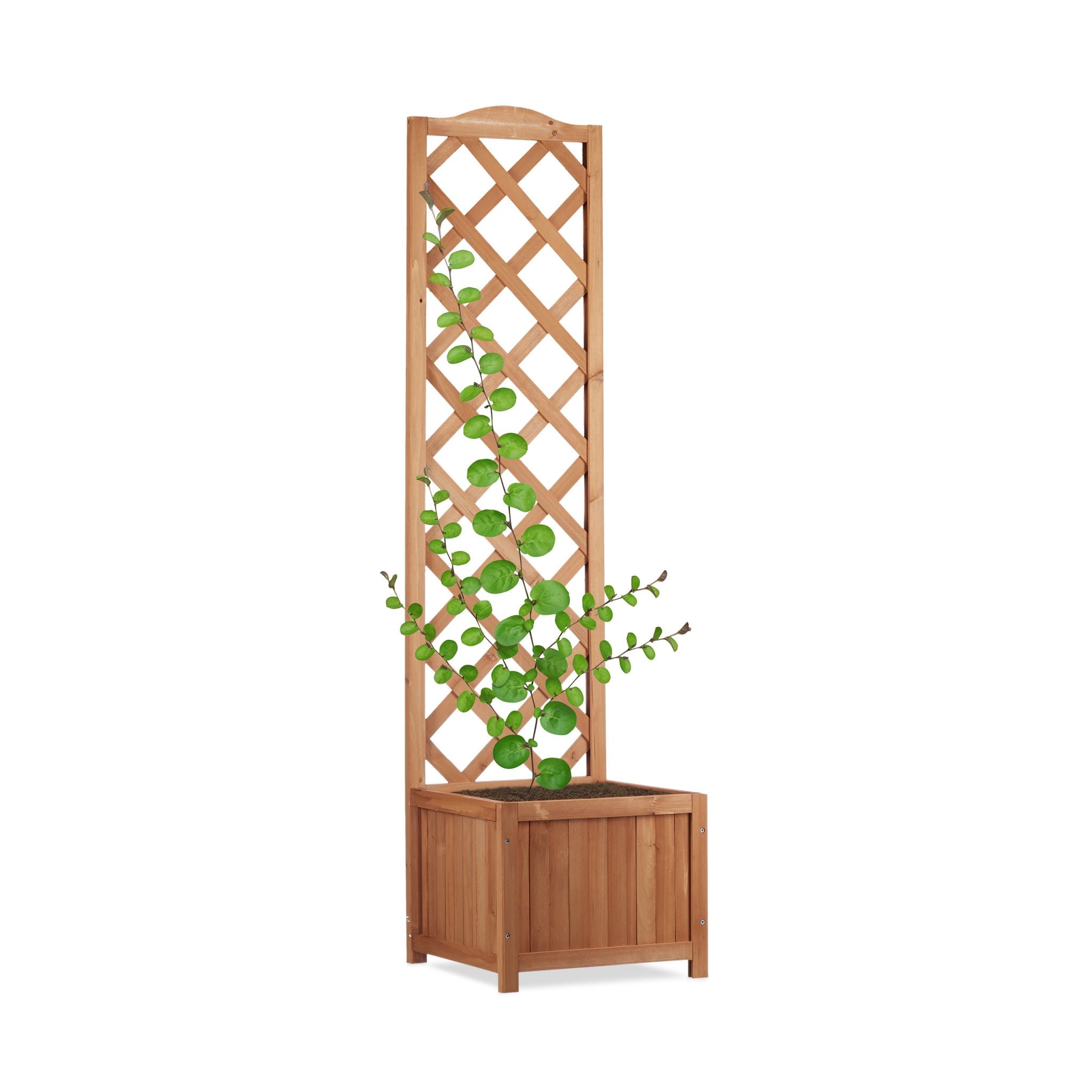 2 in 1 Rankkasten Holz Hellbraun von Relaxdays