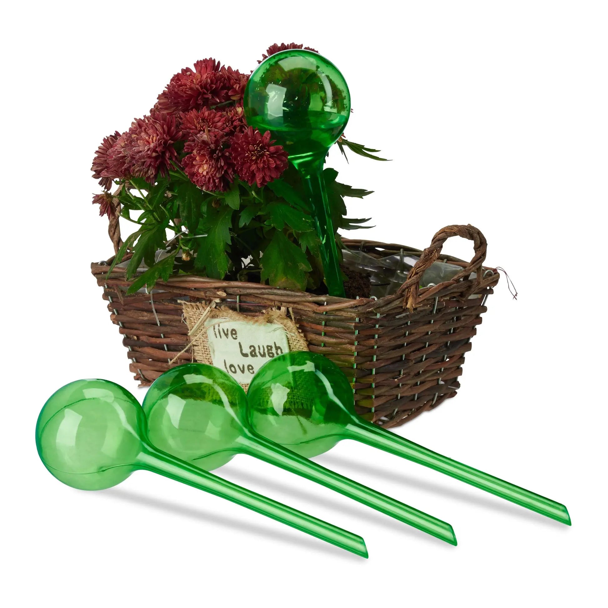 Bewässerungskugeln 4er-Set Grün von Relaxdays