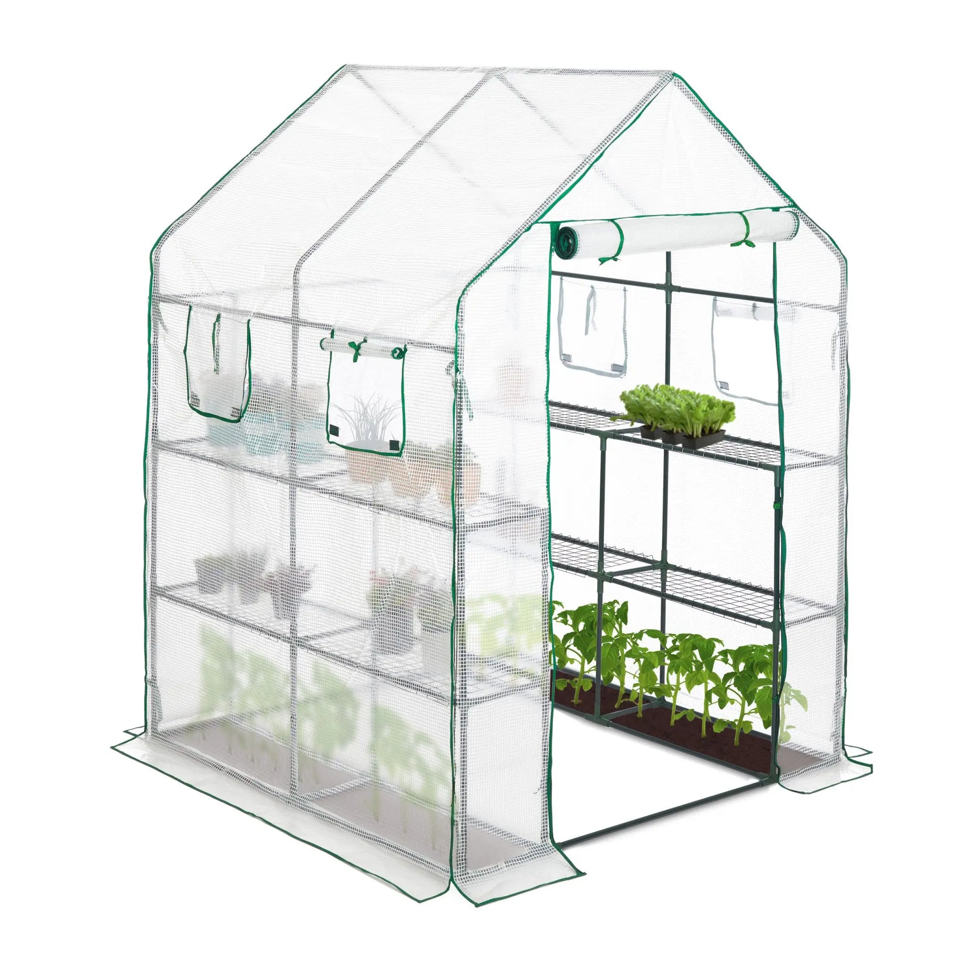Begehbares Gewächshaus mit 4 Fenstern Dunkelgrün-Transparent von Relaxdays