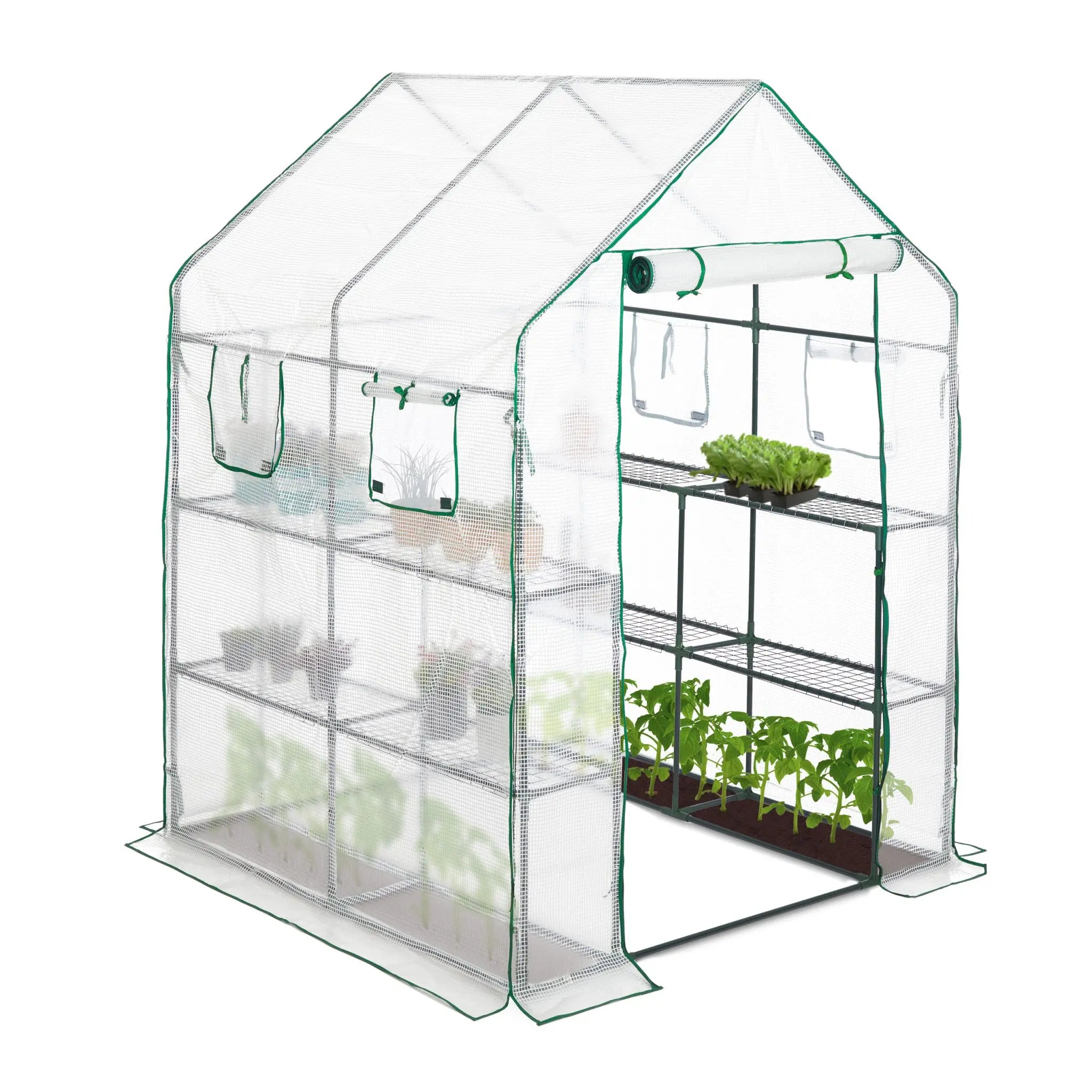 Begehbares Gewächshaus mit 4 Fenstern Dunkelgrün-Transparent von Relaxdays