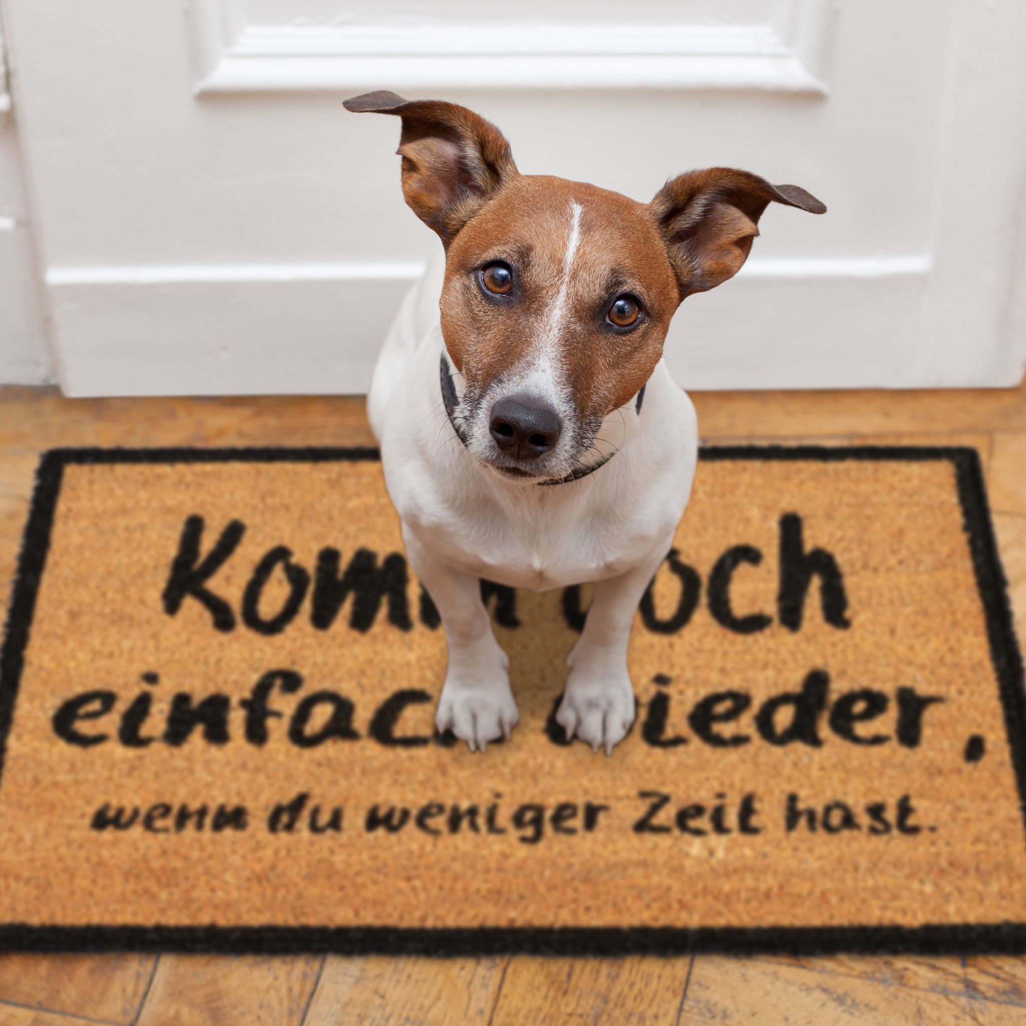 Fussmatte Kokos KOMM WIEDER Hellbraun-Schwarz von Relaxdays
