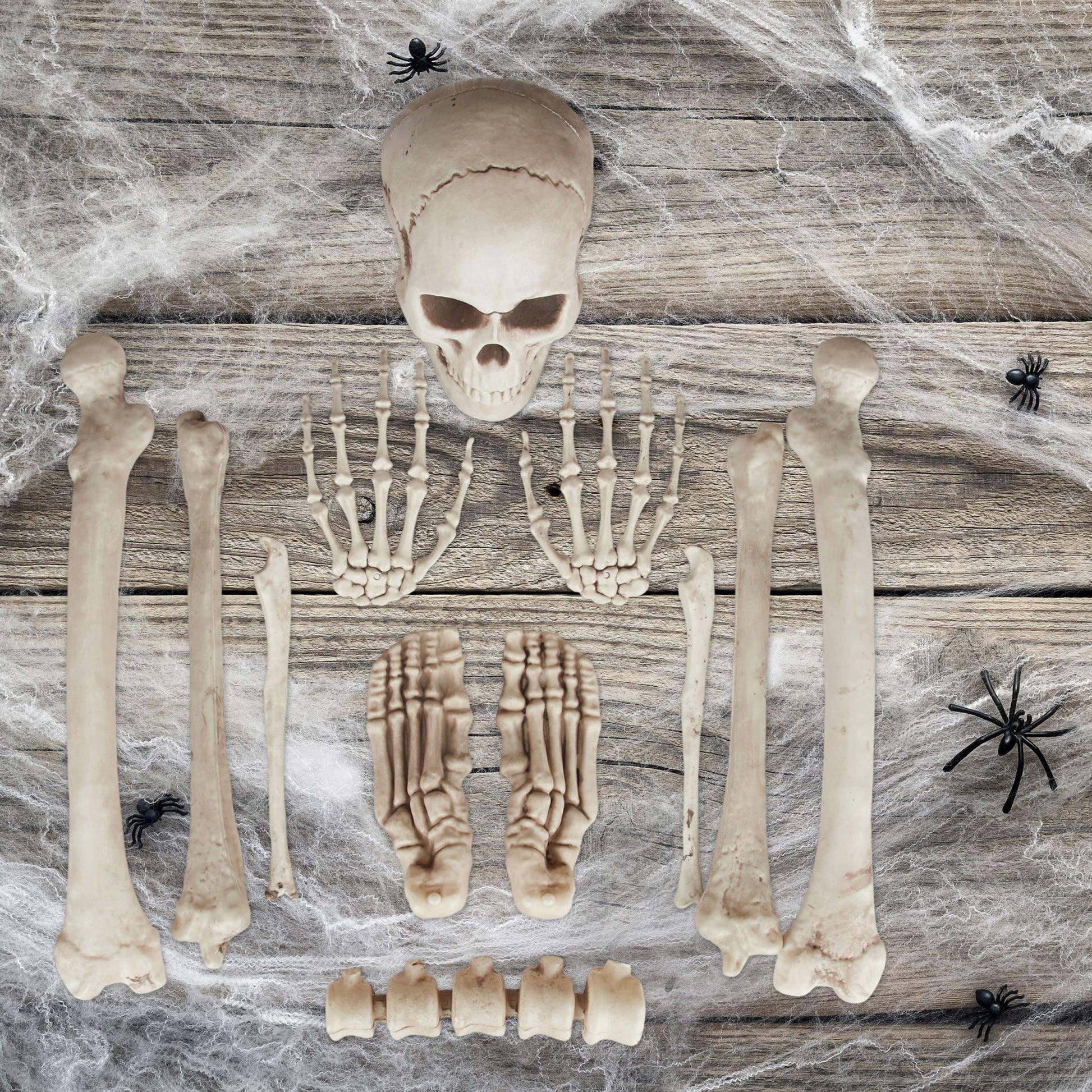 Dekoknochen für Halloween Creme von Relaxdays