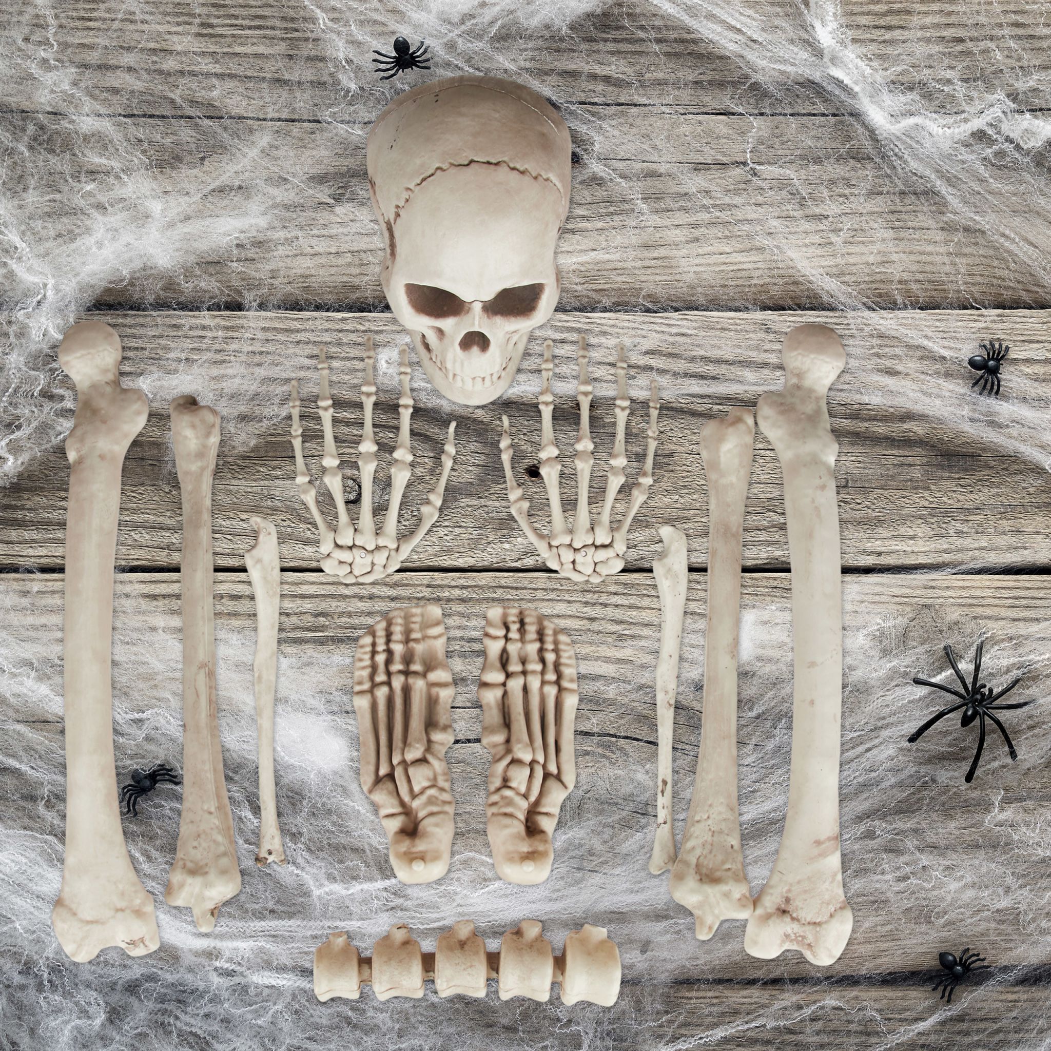 Dekoknochen für Halloween Creme von Relaxdays