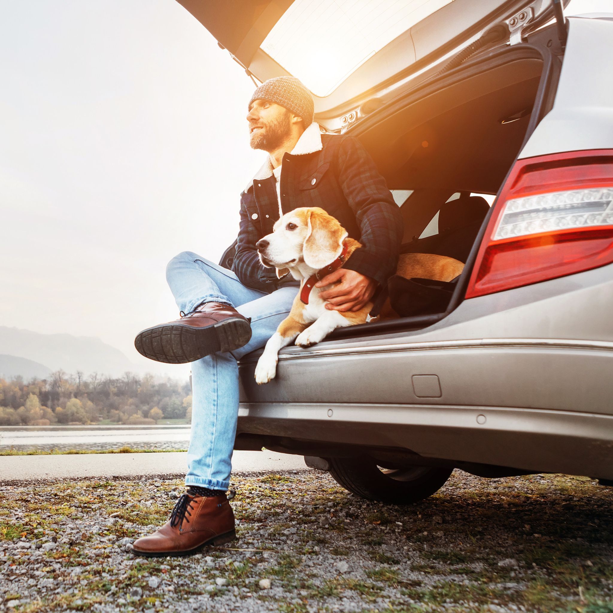 Hundedecke Auto Schwarz
