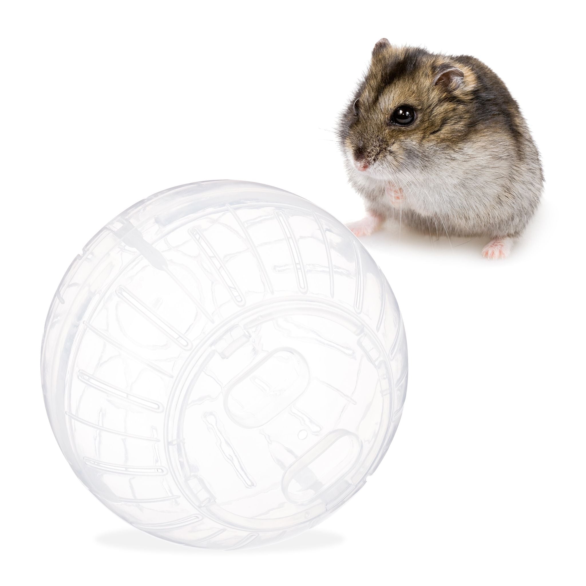 Hamsterball transparent Transparent von Relaxdays