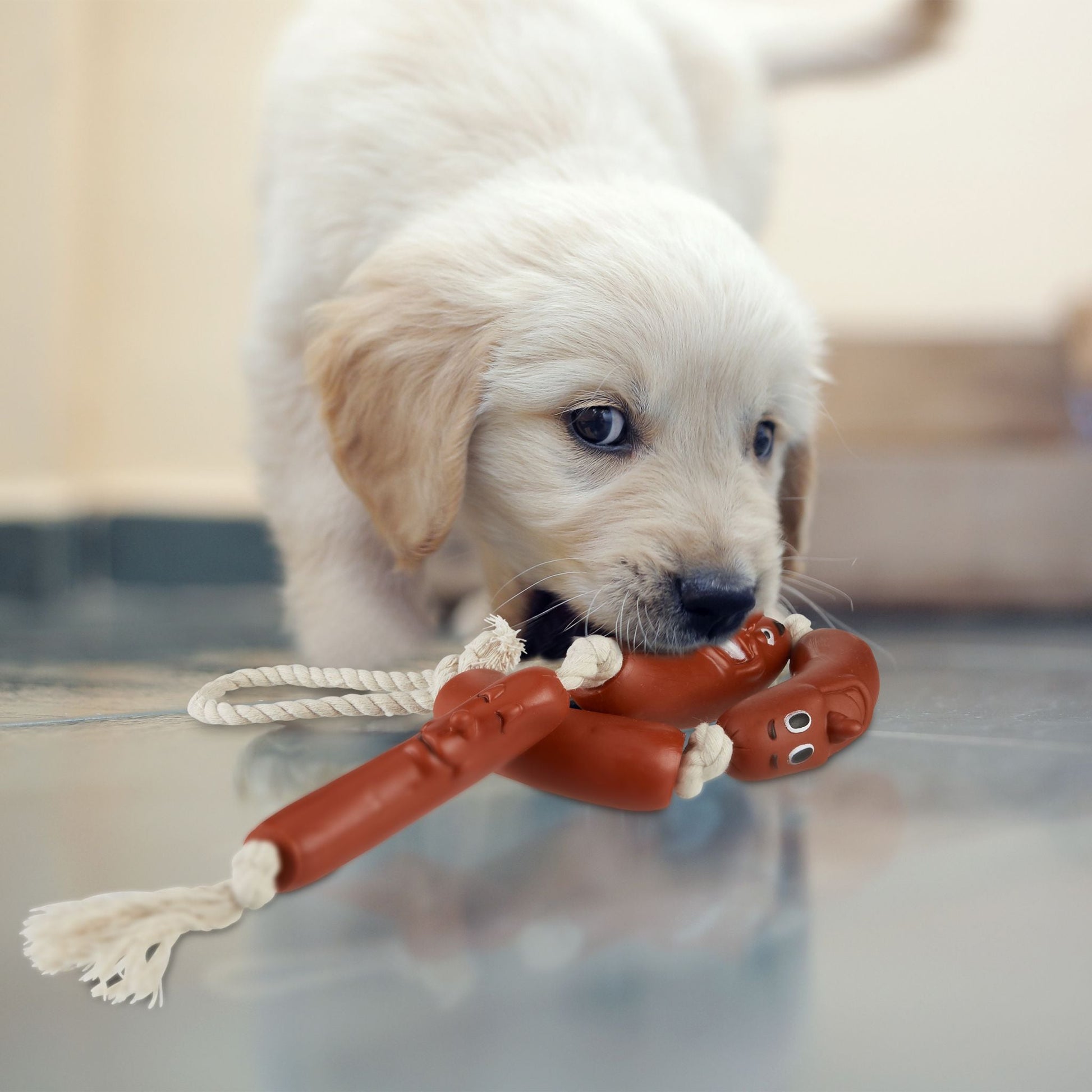 Hundespielzeug Wurst Braun-Creme von Relaxdays