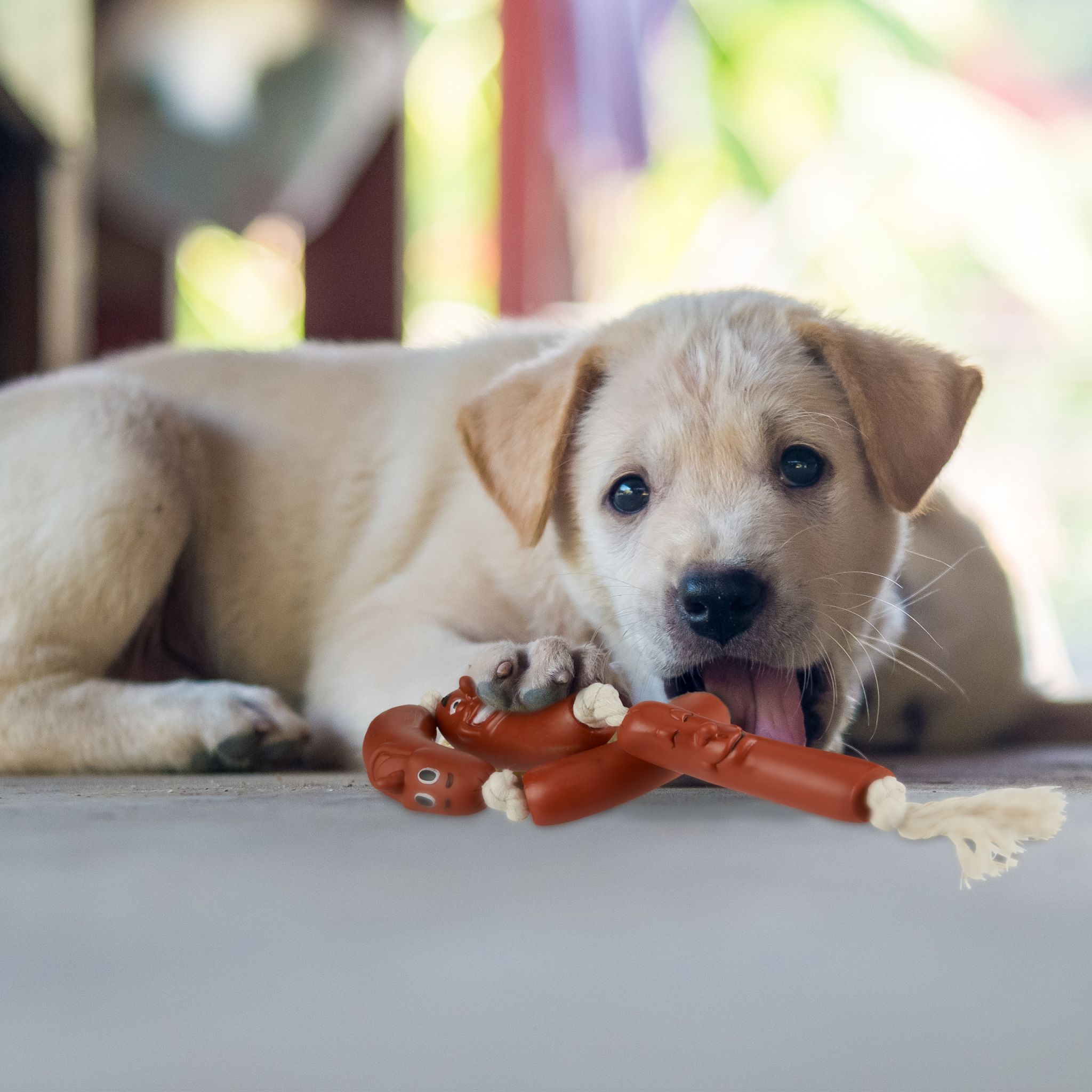 Hundespielzeug Wurst Braun-Creme von Relaxdays
