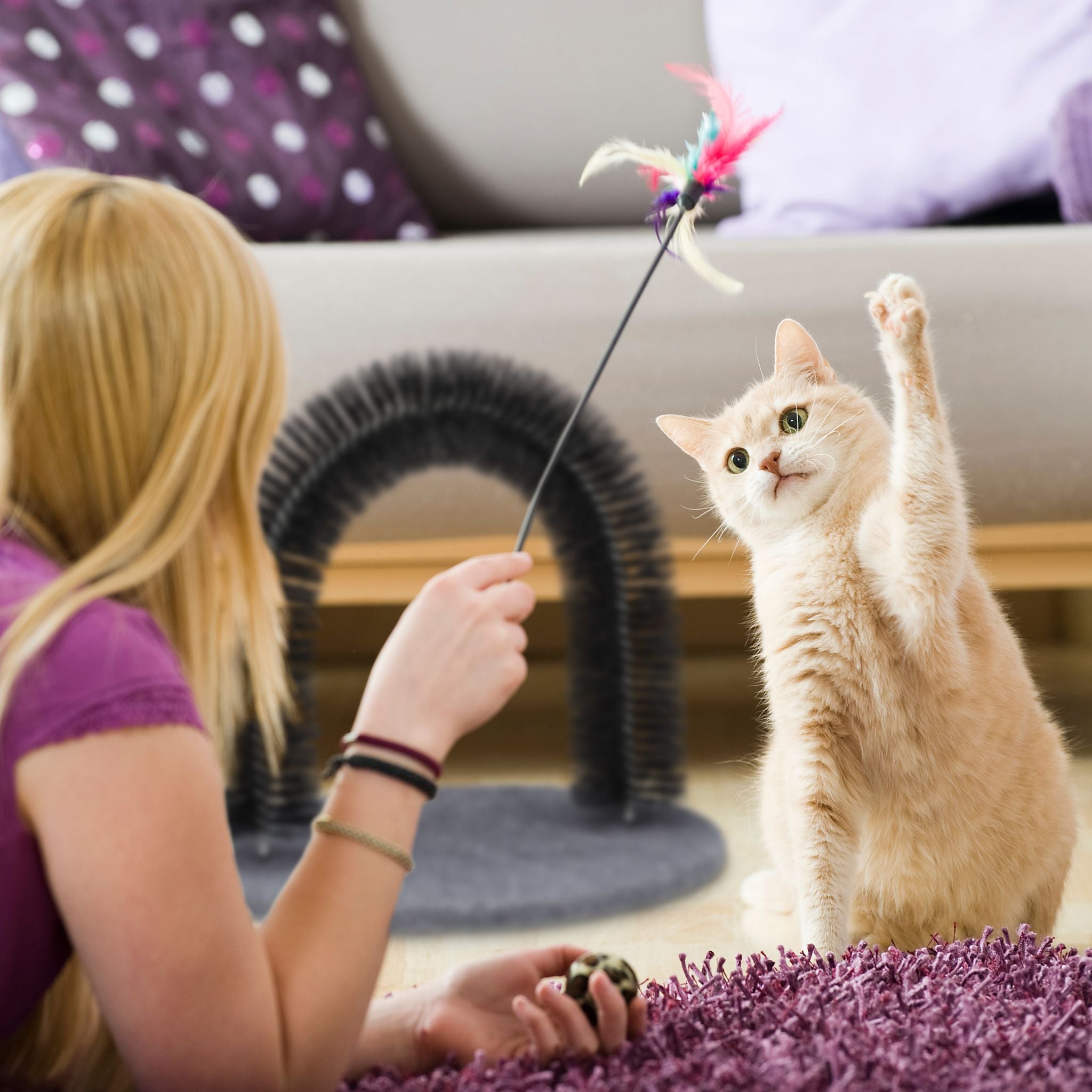 Enthaarungsbogen für Katzen Schwarz-Grau von Relaxdays
