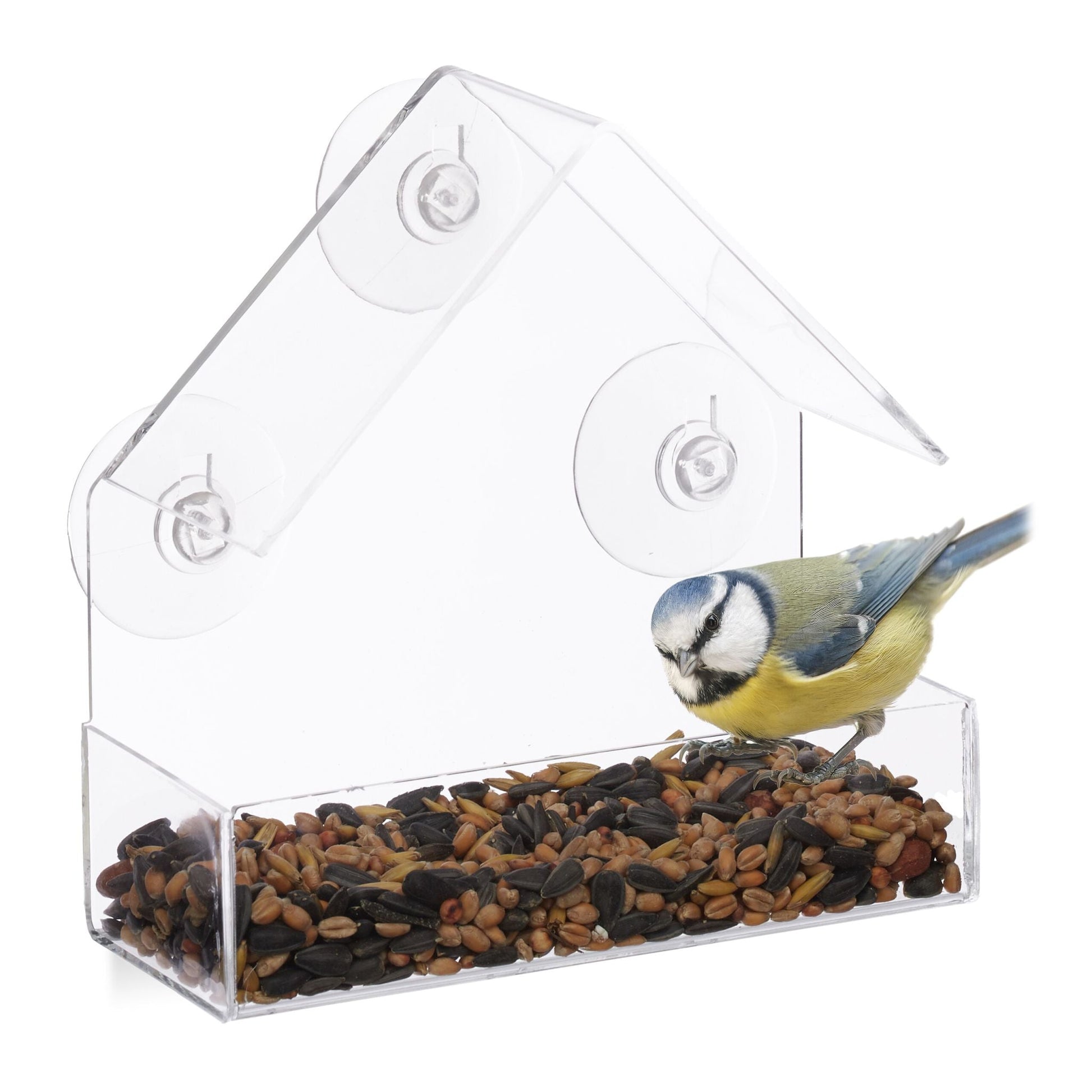 Fenster-Vogelfutterhaus Transparent von Relaxdays