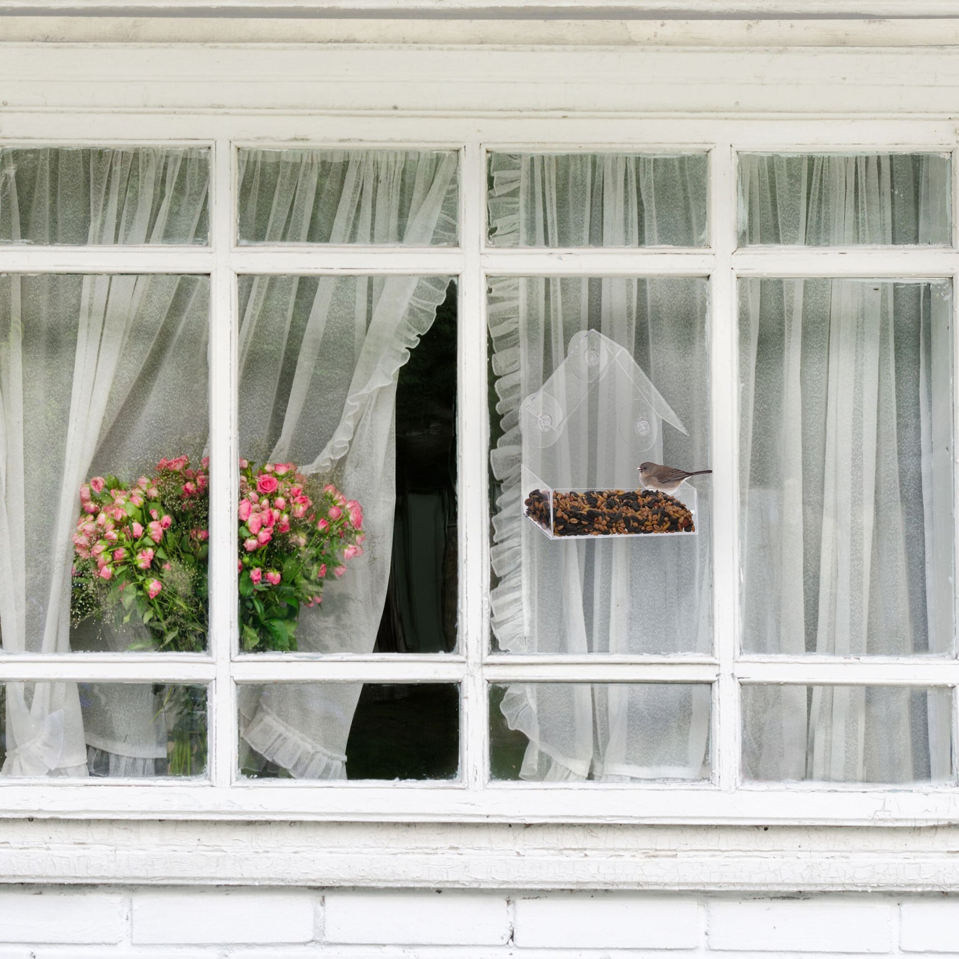 Fenster-Vogelfutterhaus Transparent von Relaxdays