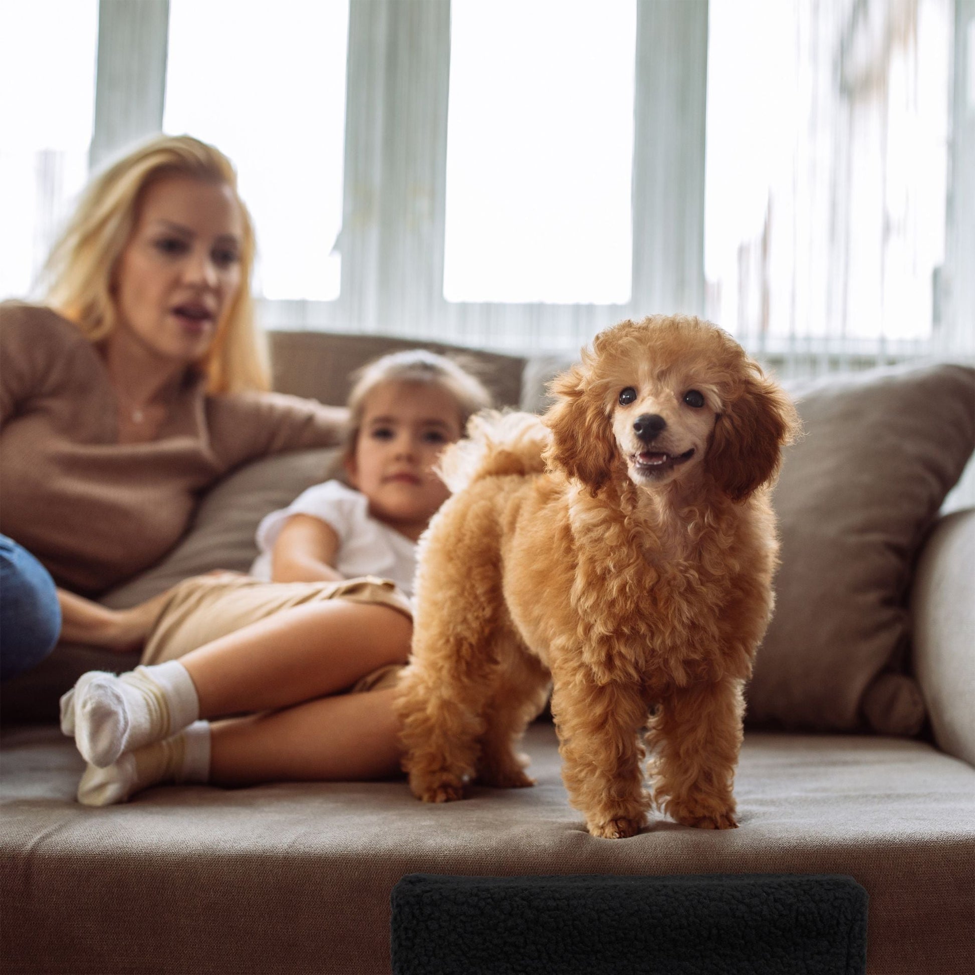 Hundetreppe 3 Stufen Grau von Relaxdays