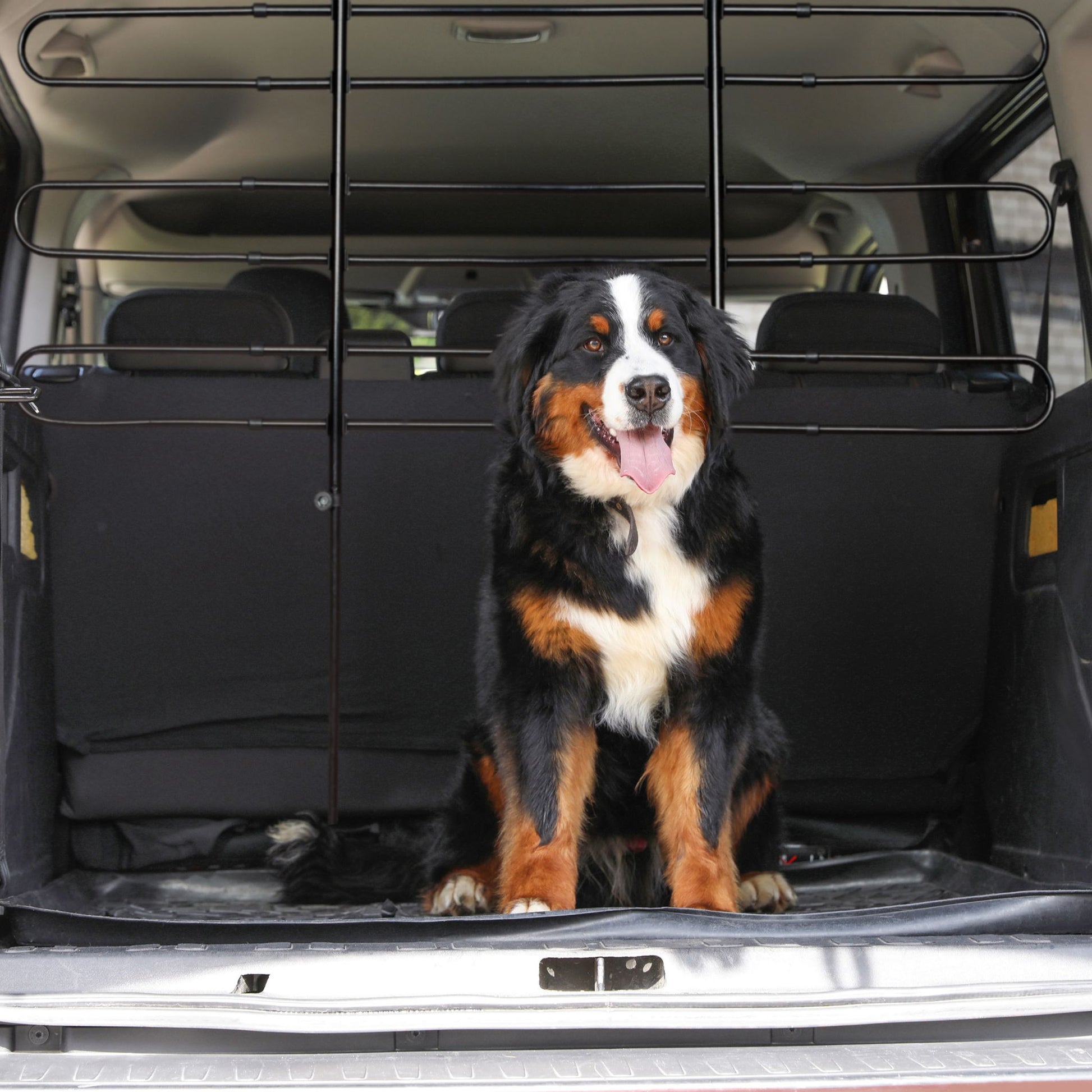 Hundegitter Auto Schwarz von Relaxdays