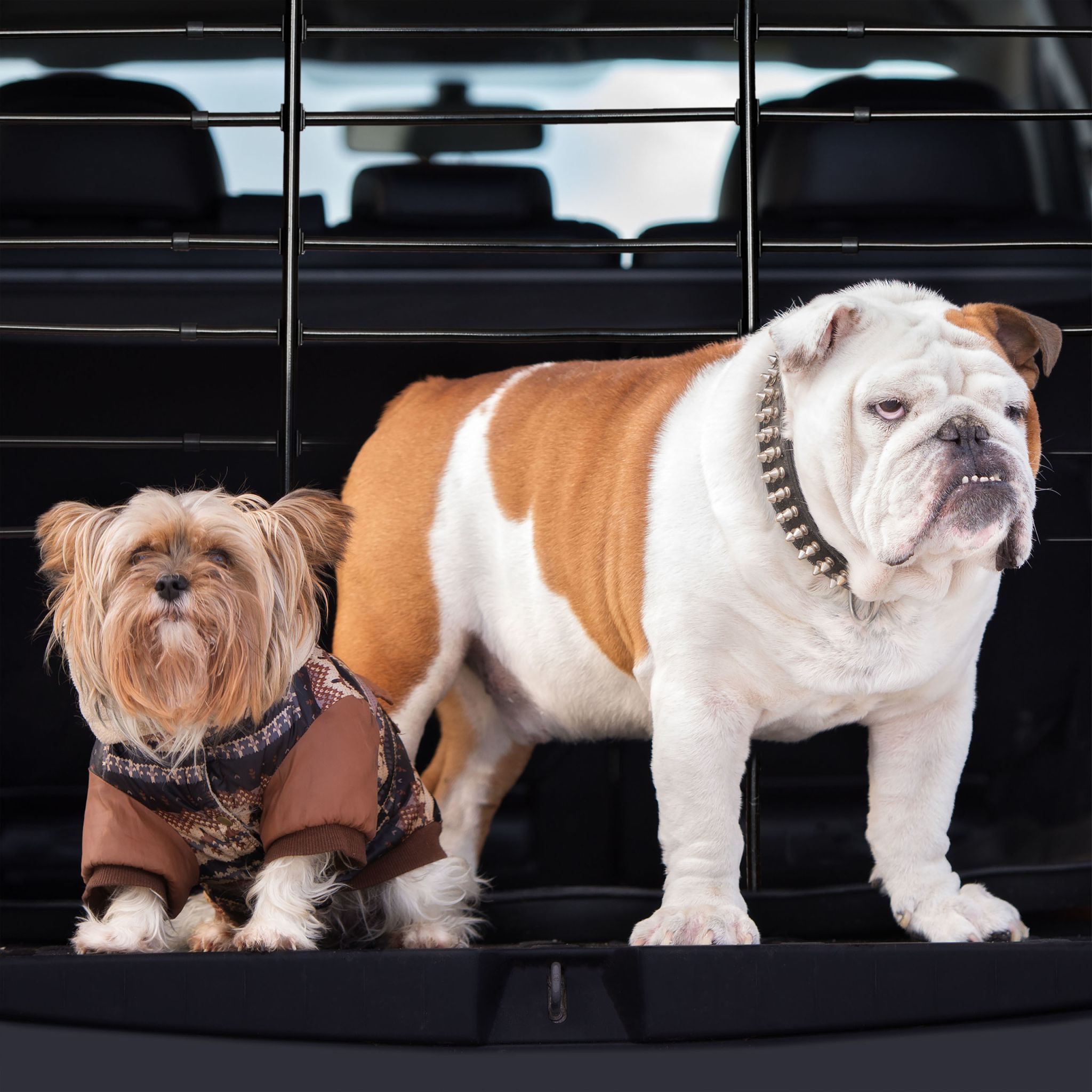 Hundegitter Auto Schwarz von Relaxdays