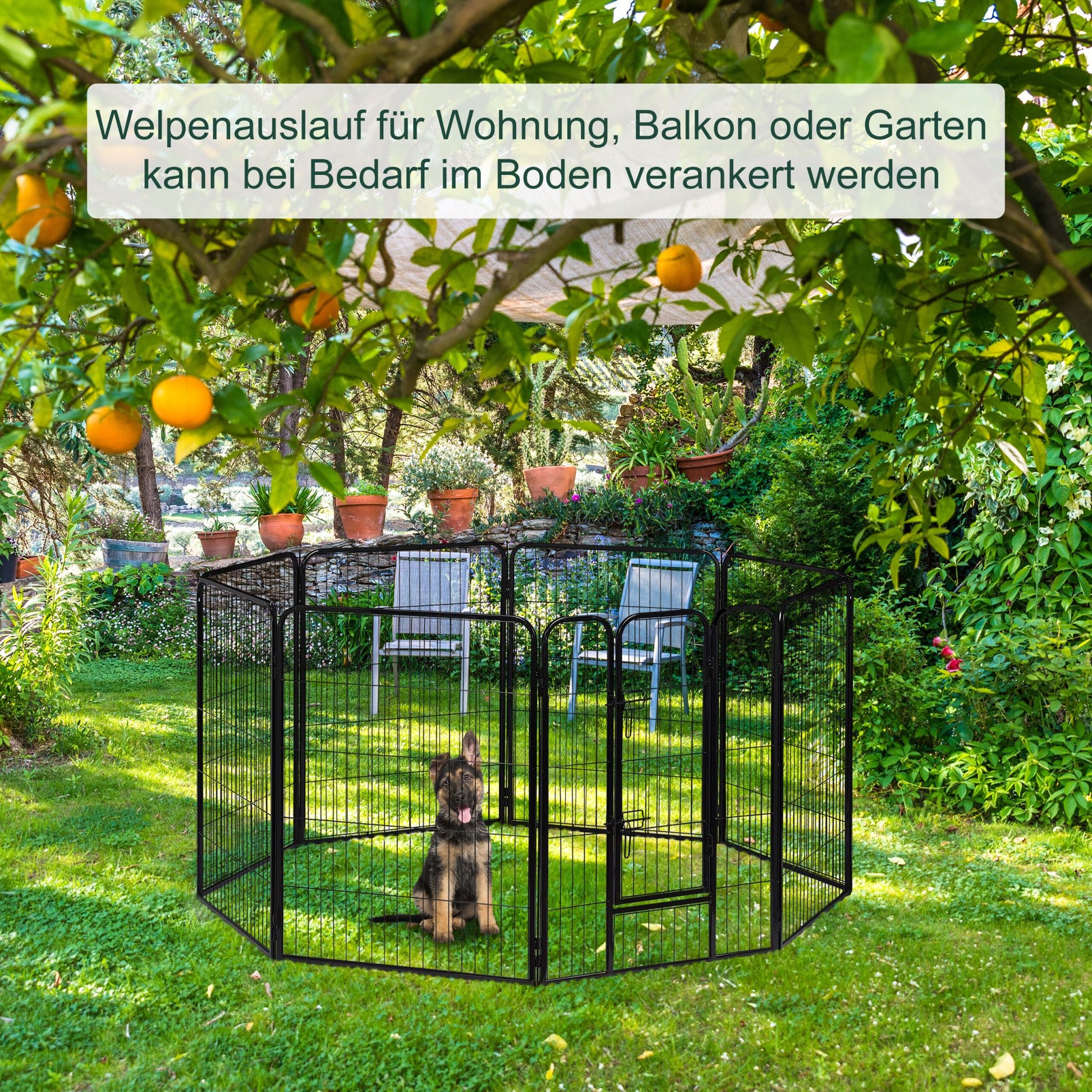 Welpenauslauf Grösse M-XXL Schwarz von Relaxdays