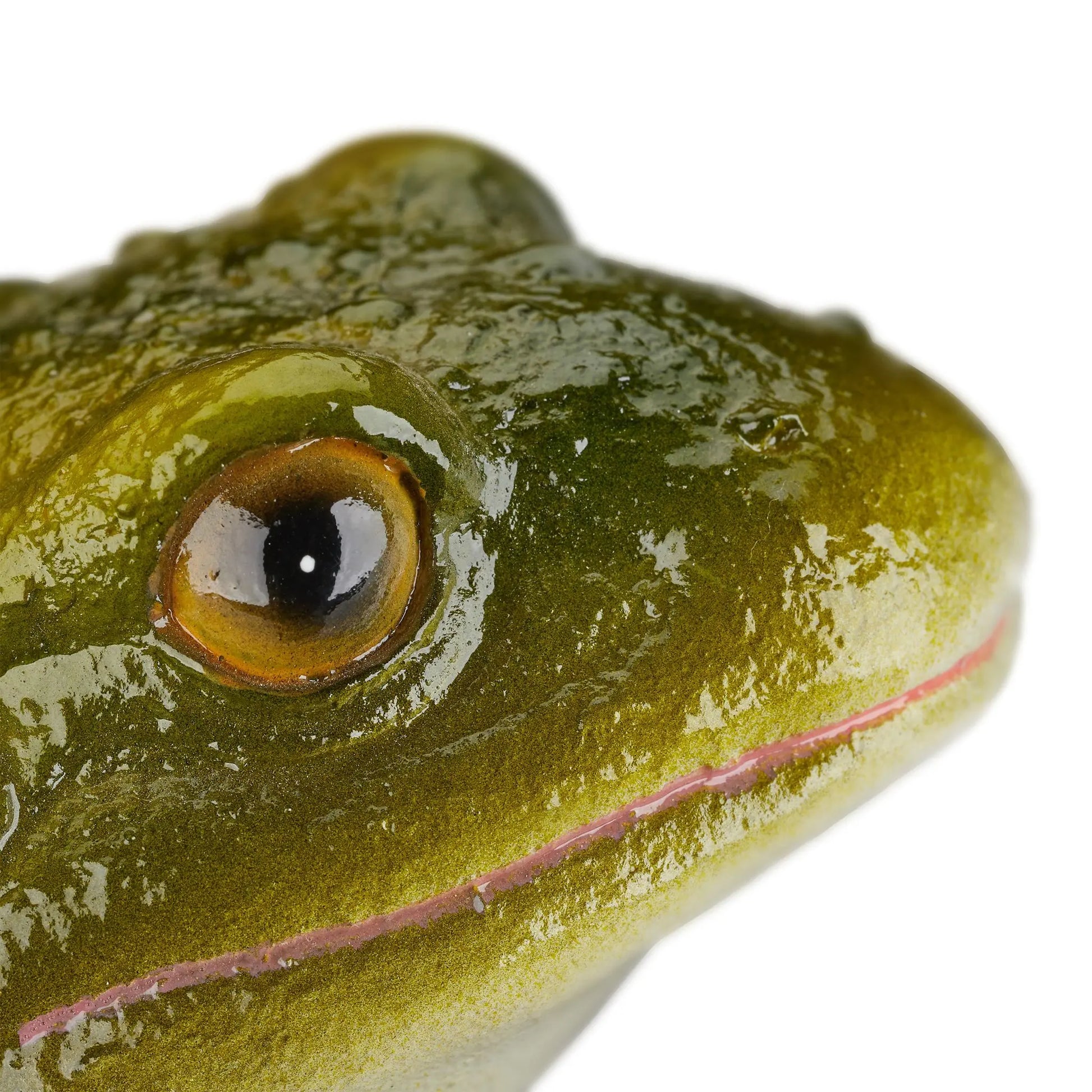 Gartenfigur Frosch Kunststein Weiss-Dunkelgrün-Schwarz von Relaxdays