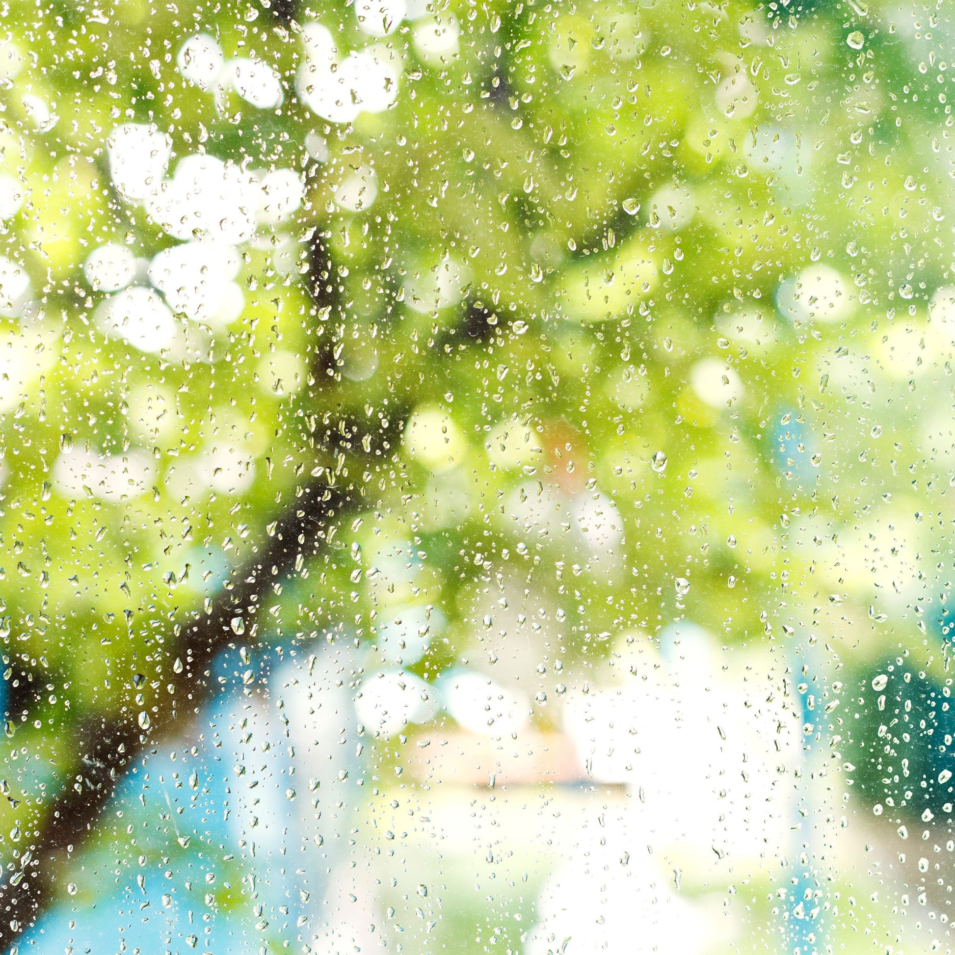 Regenmesser 2er-Set Schwarz-Transparent von Relaxdays