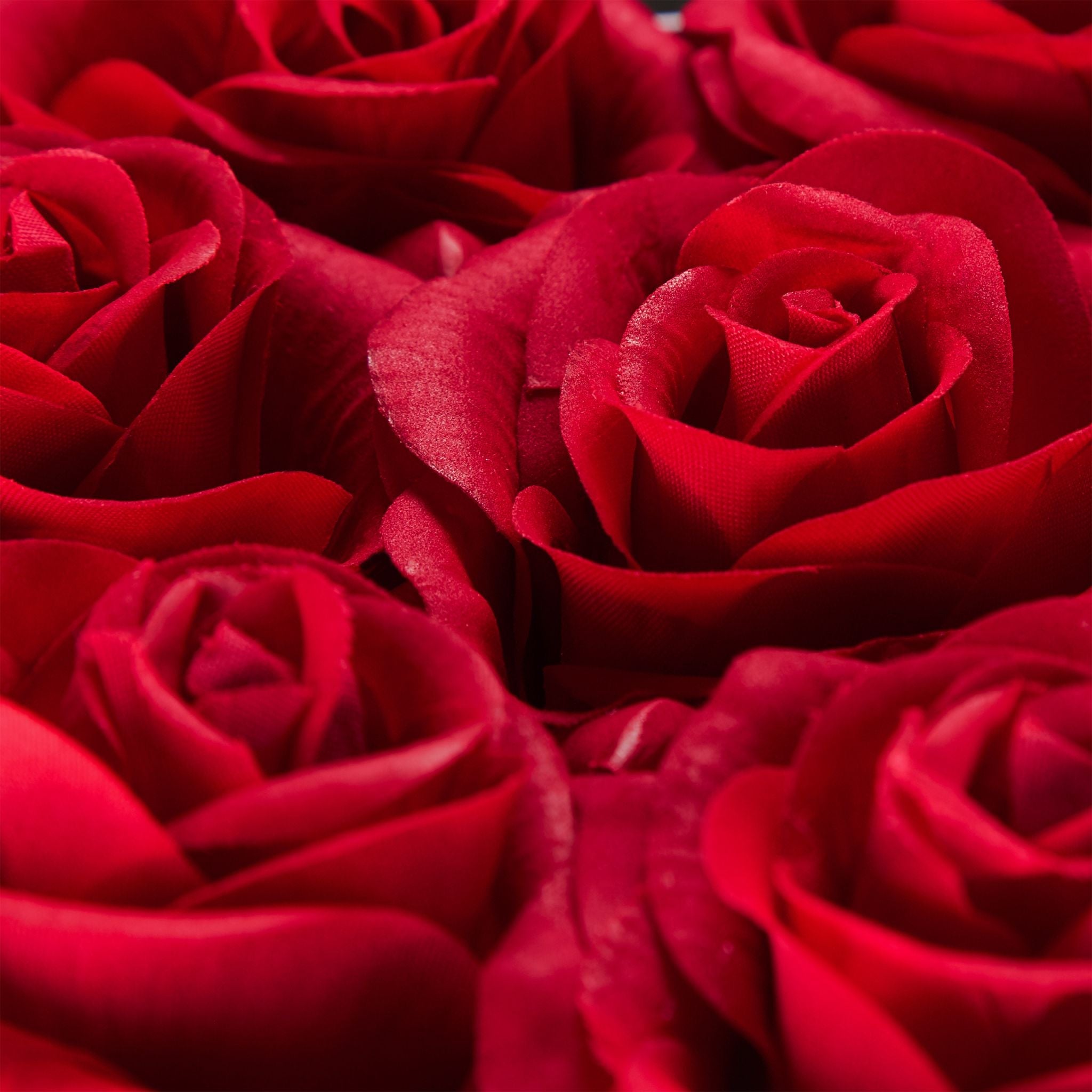 Rosenbox Herz 18 Rosen Rot-Schwarz von Relaxdays