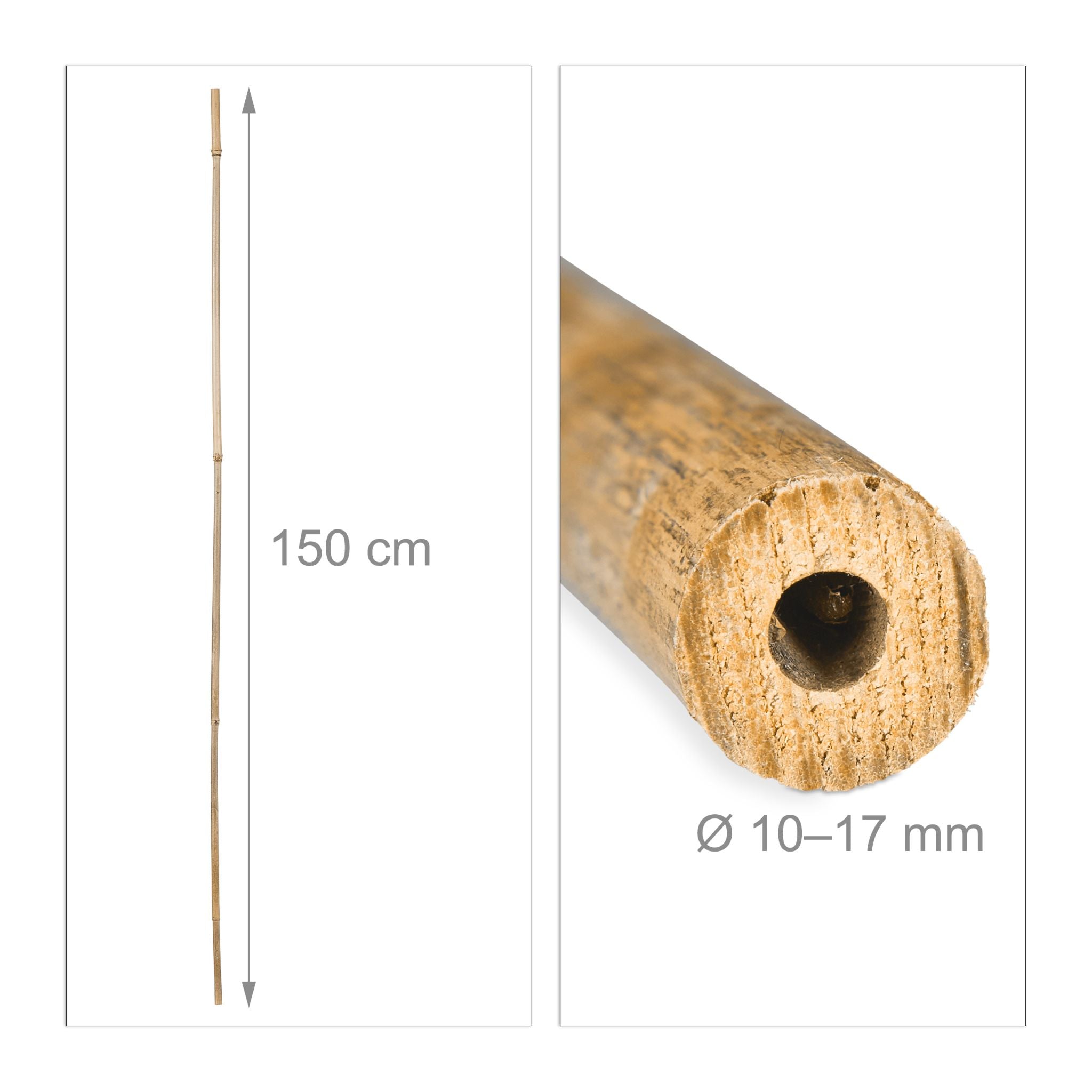 Bambusstäbe 150cm Hellbraun