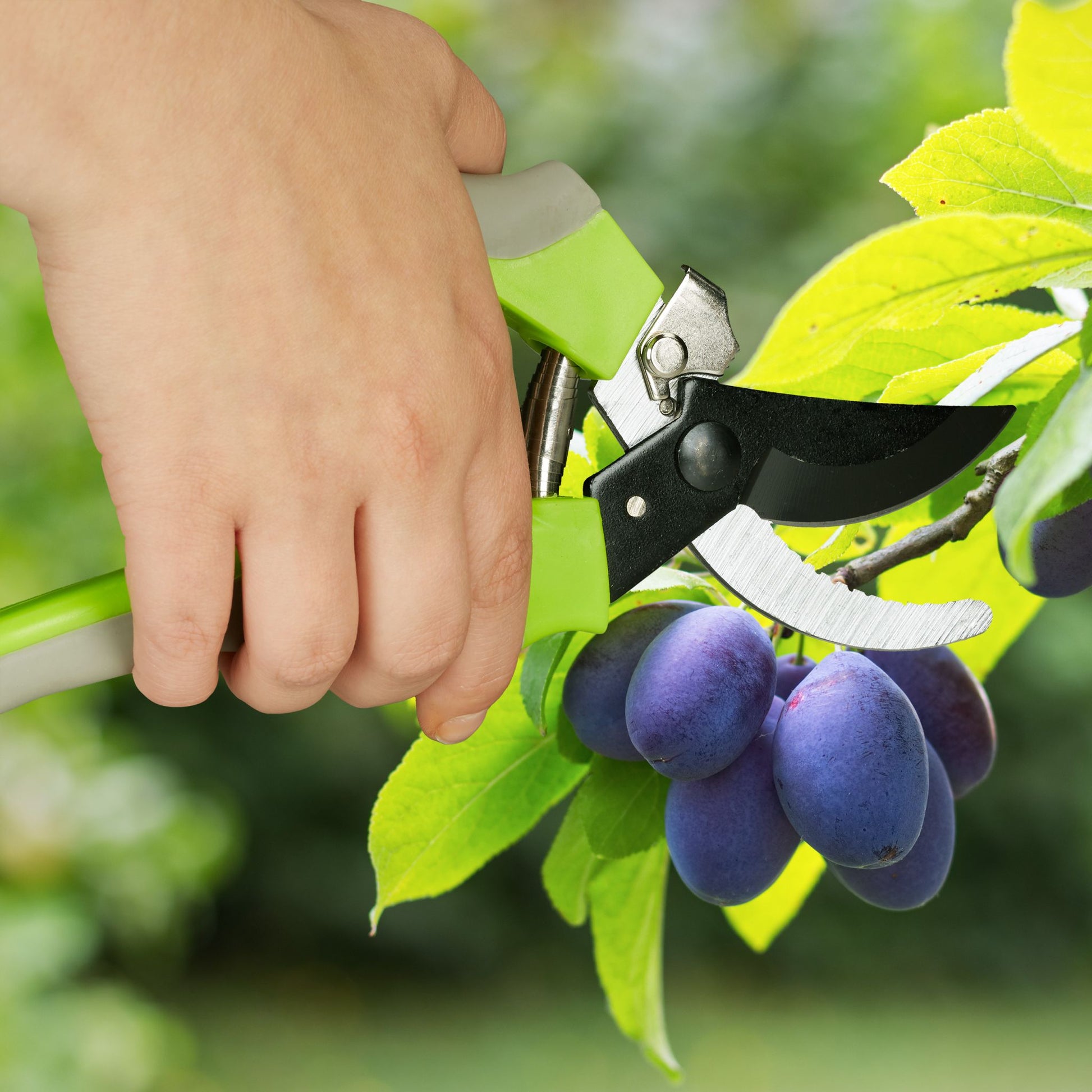 Gartenschere Stahl Grün-Schwarz-Grau von Relaxdays