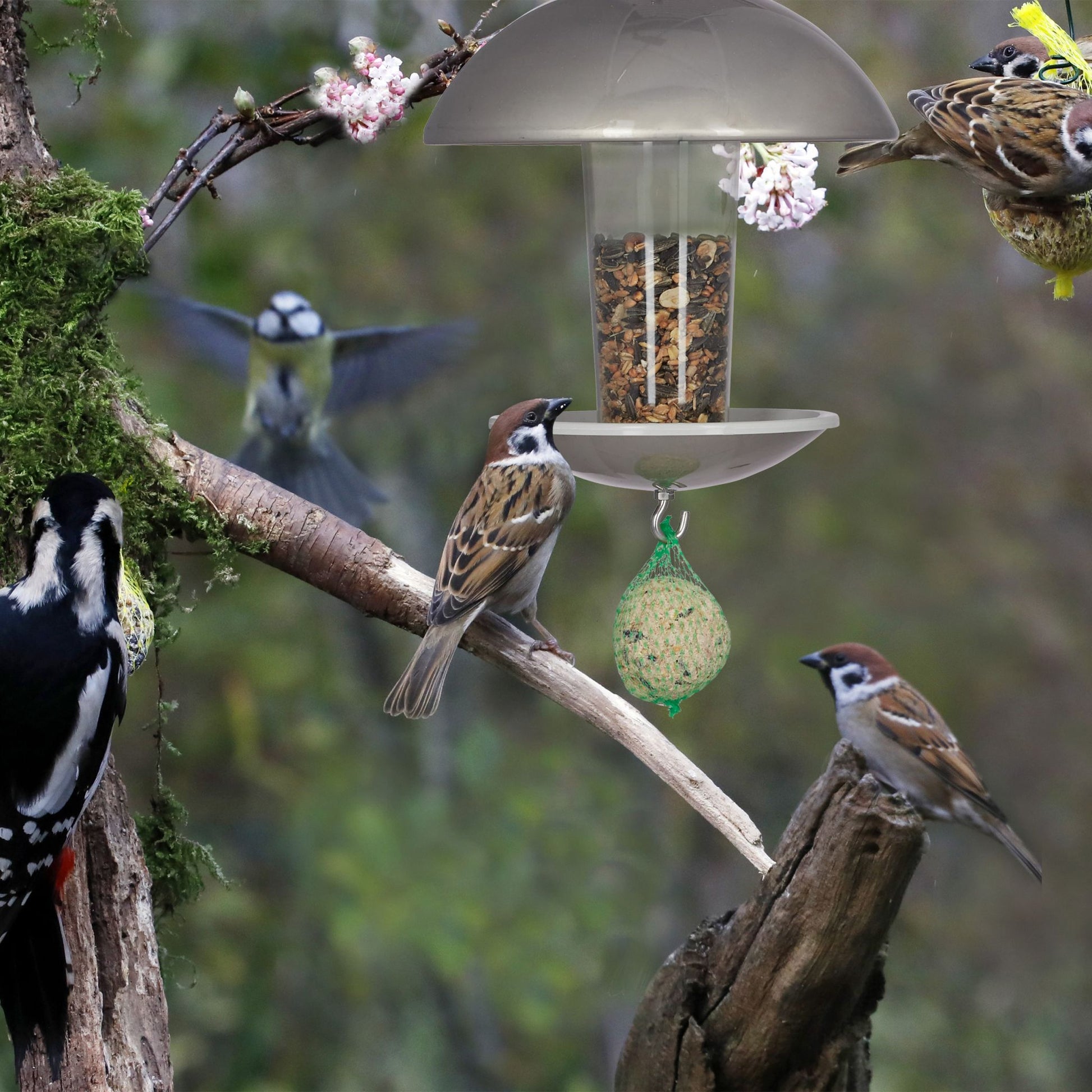 Vogelfutterspender mit Stab Silber-Transparent von Relaxdays
