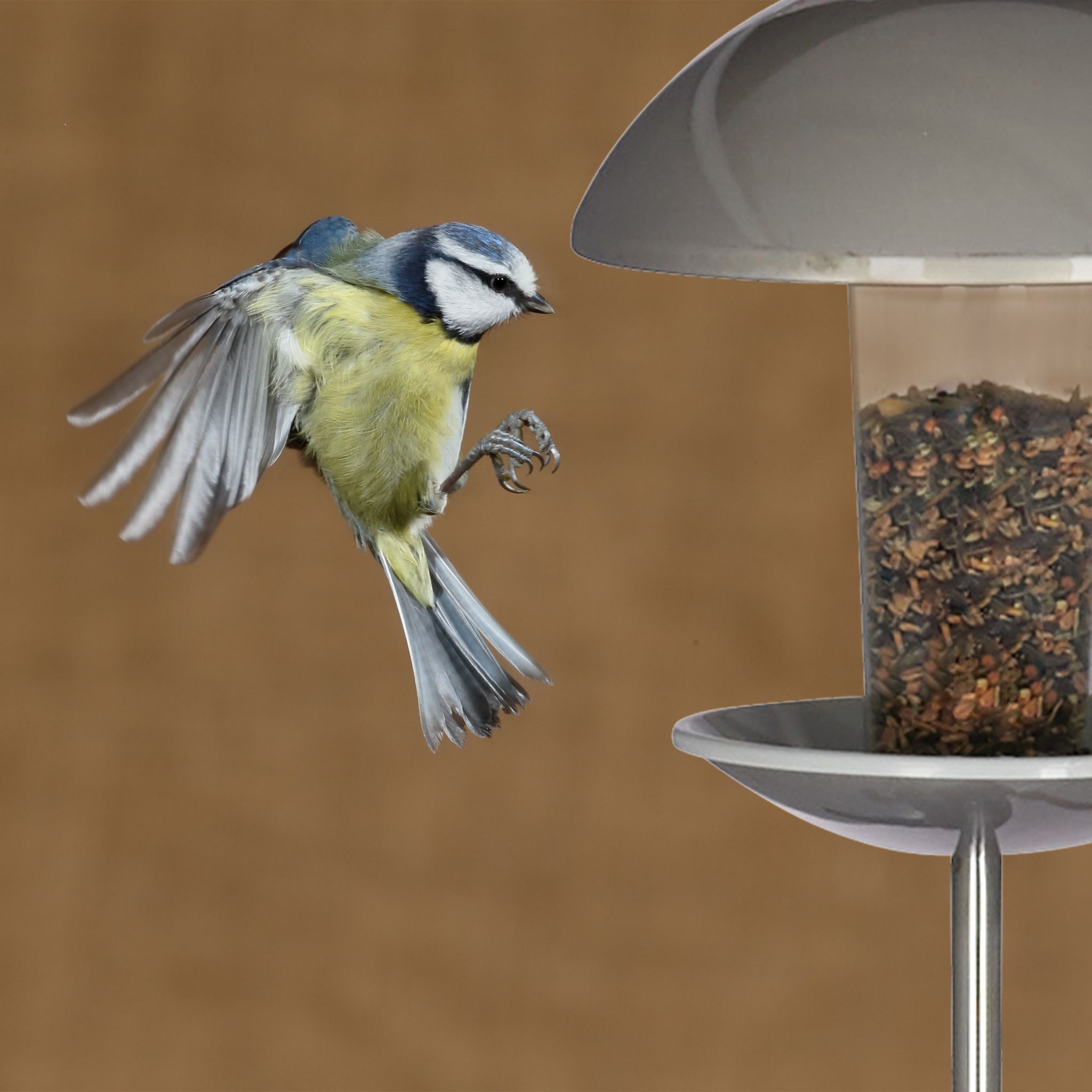 Vogelfutterspender mit Stab Silber-Transparent von Relaxdays