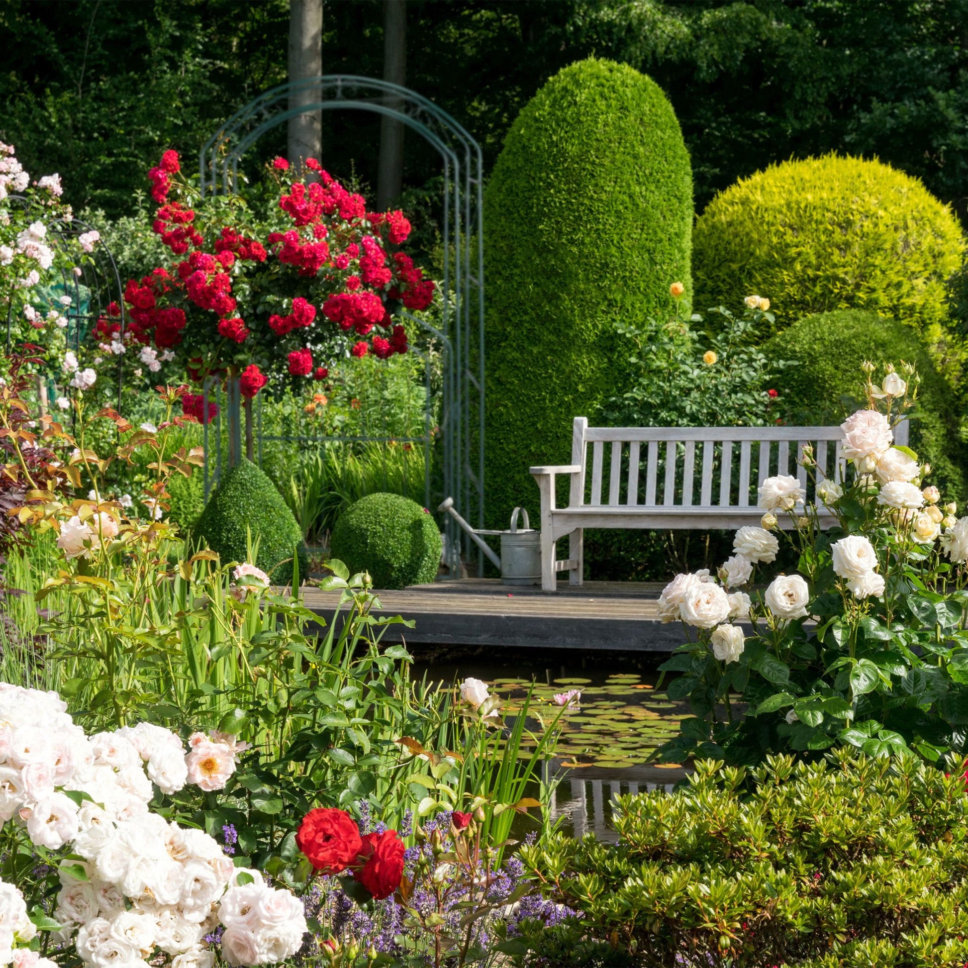 Rosenbogen mit Tor Dunkelgrün von Relaxdays