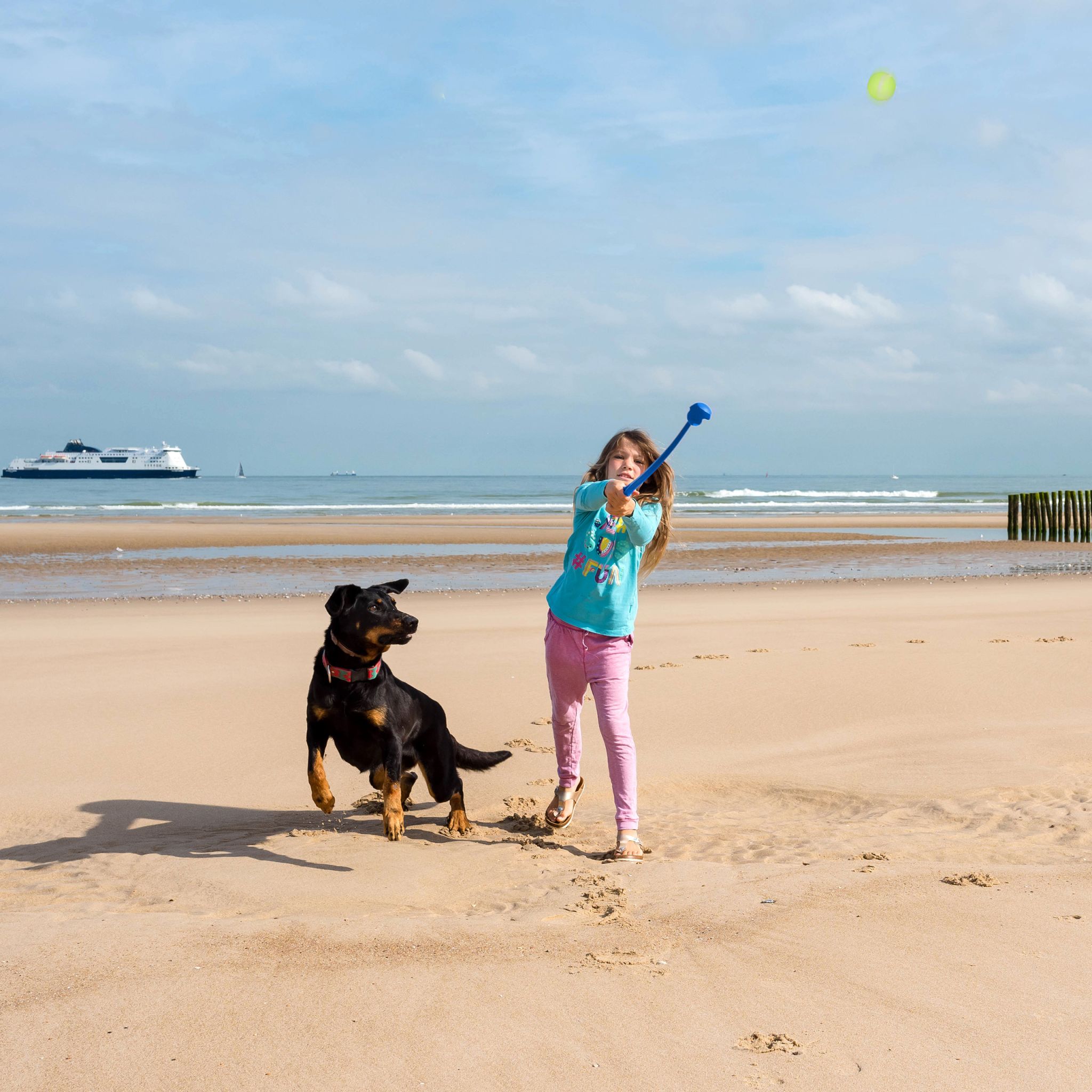 Ballschleuder für Hunde 2er-Set Blau-Gelb-Grün von Relaxdays
