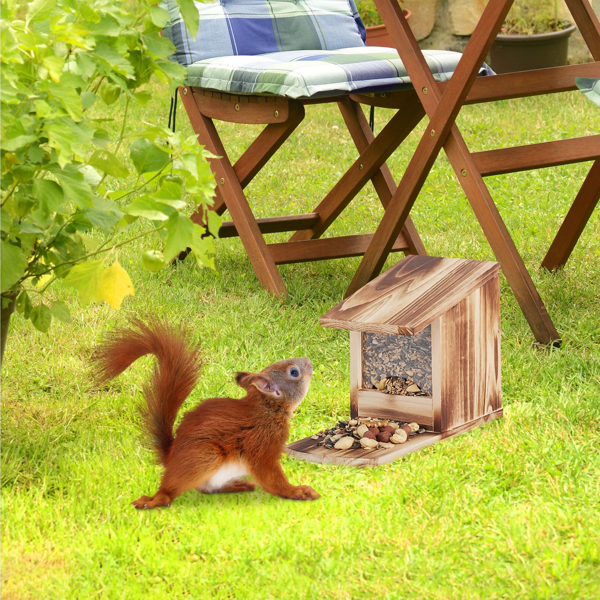 Eichhörnchen Futterhaus zum Stellen Dunkelgrün-Transparent von Relaxdays