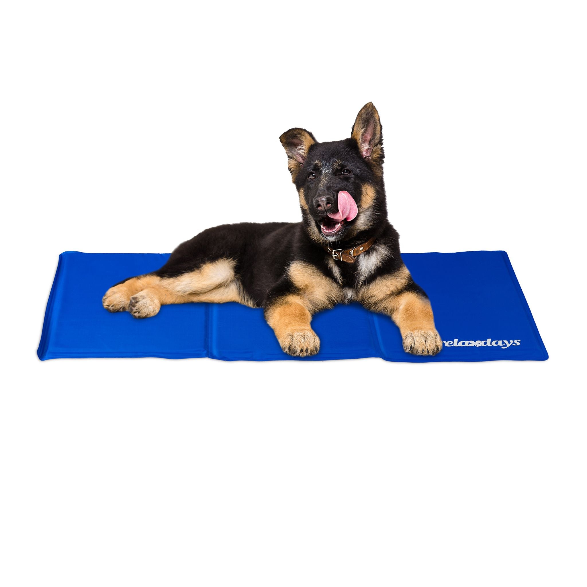 Kühlmatte Hund blau Blau von Relaxdays