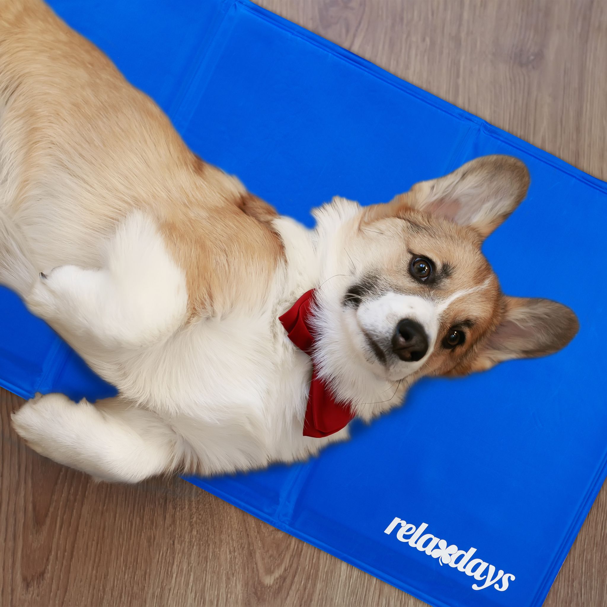 Kühlmatte Hund blau Blau von Relaxdays
