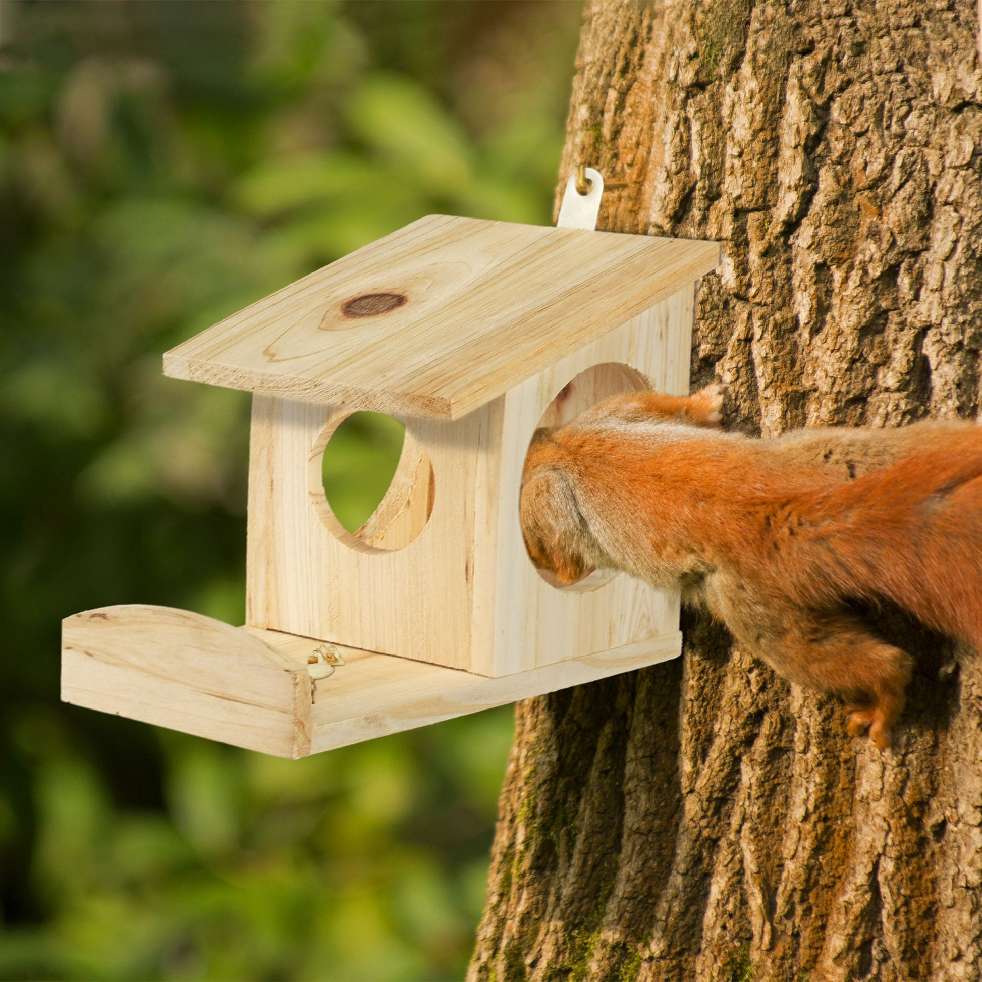 Eichhörnchen Futterhaus zum Hängen Dunkelgrün von Relaxdays